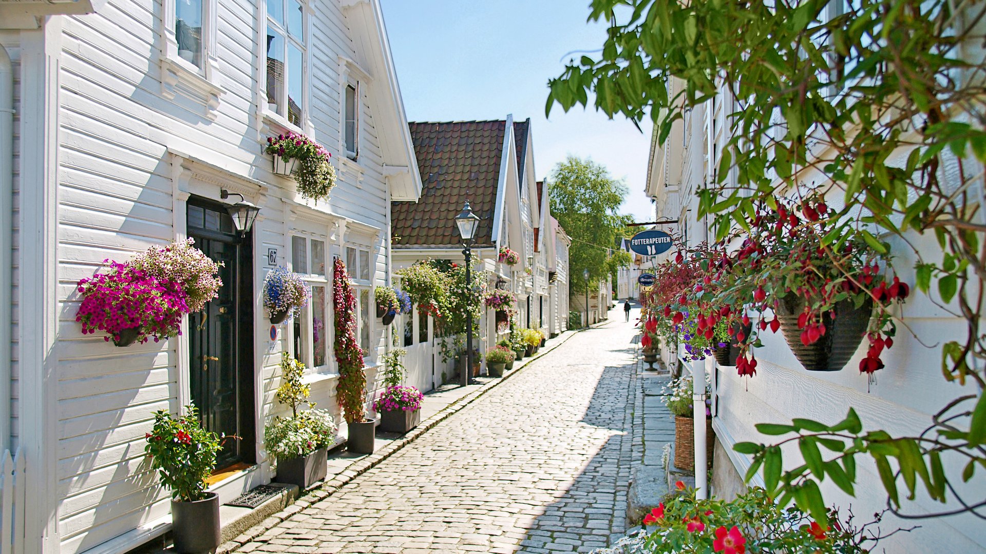 historisch,altstadt,holzhaus,norwegen,stavanger,gammle,fischerhaus,blume,blumen,pflanze,weiss,europid,kaukasisch,europaeisch,blumenschmuck,blumengeschmueckt