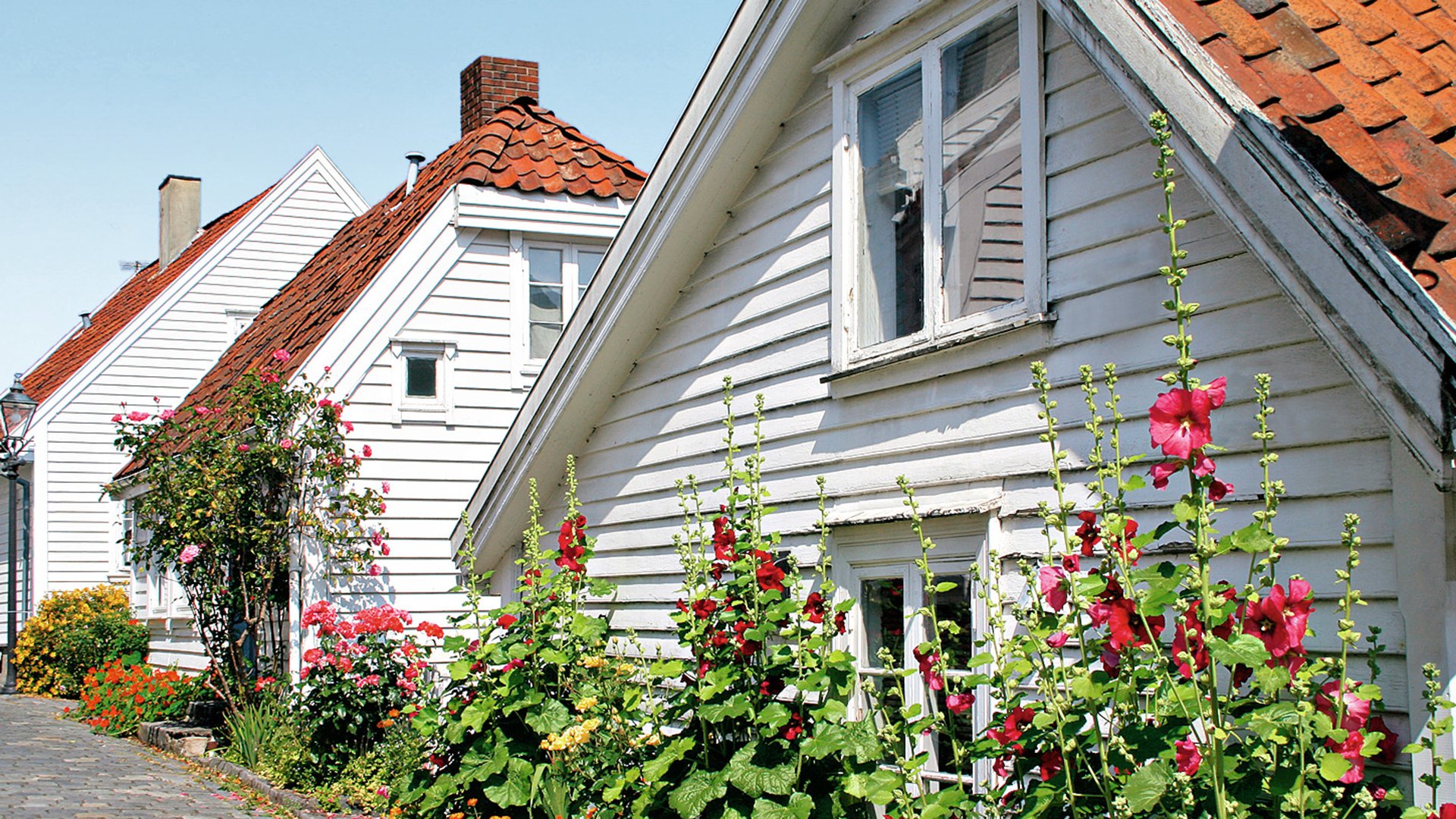 Komm an Land: Zu Fuß durch Stavanger