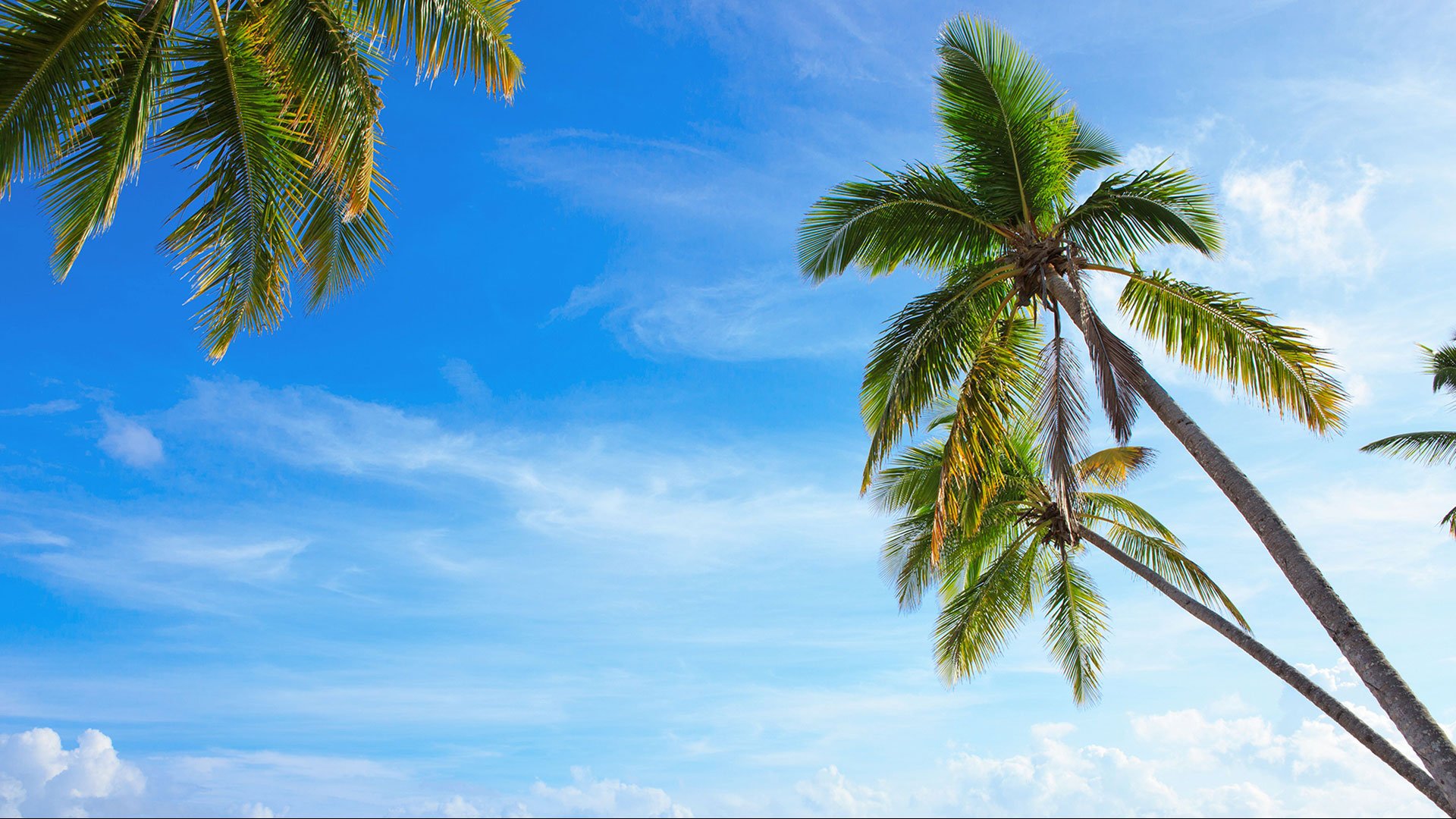 Exklusiv: Ein Strandtag auf der Insel Anguilla