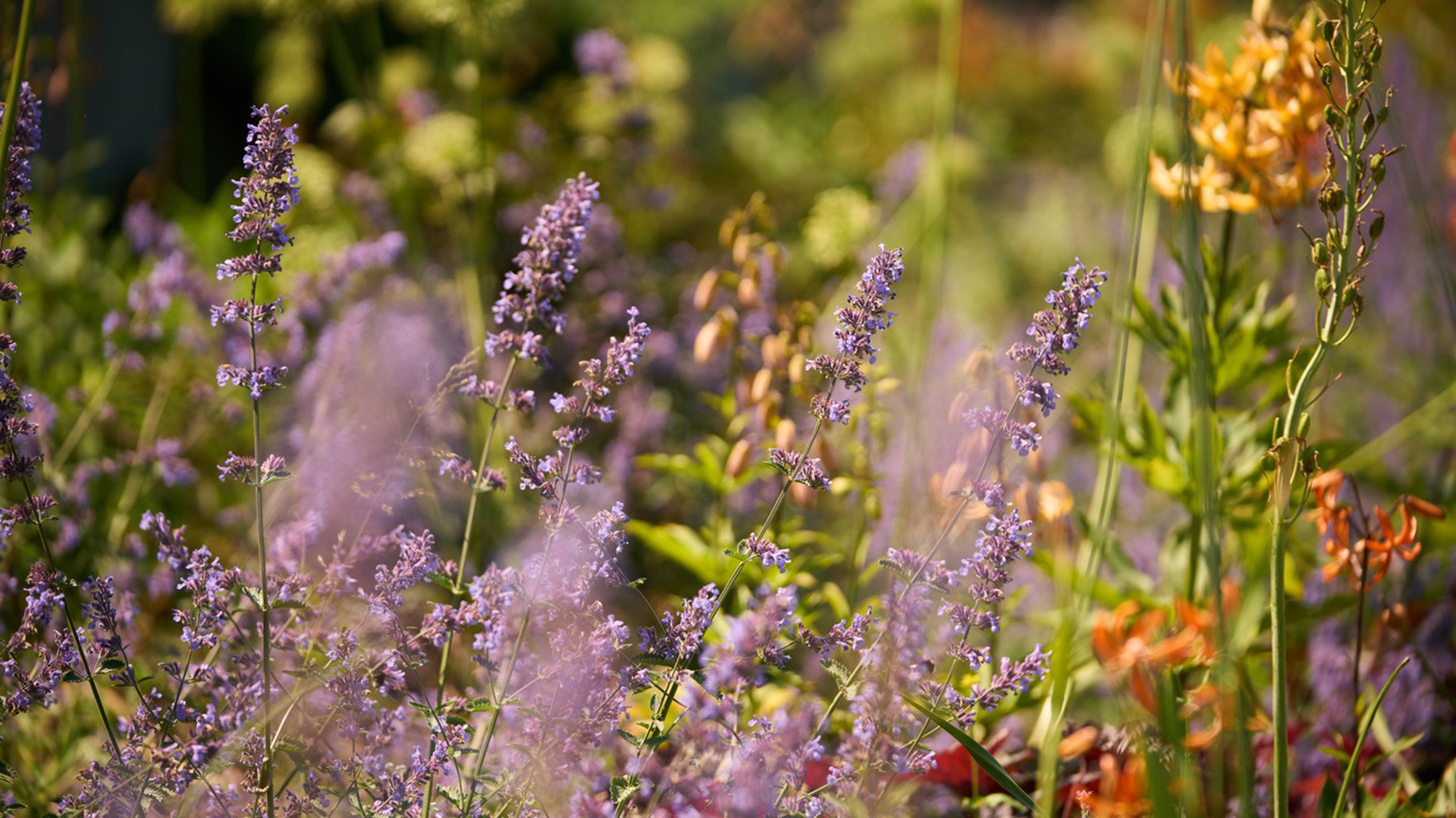Insel Djurgården & Spaziergang durch den Schlossgarten
