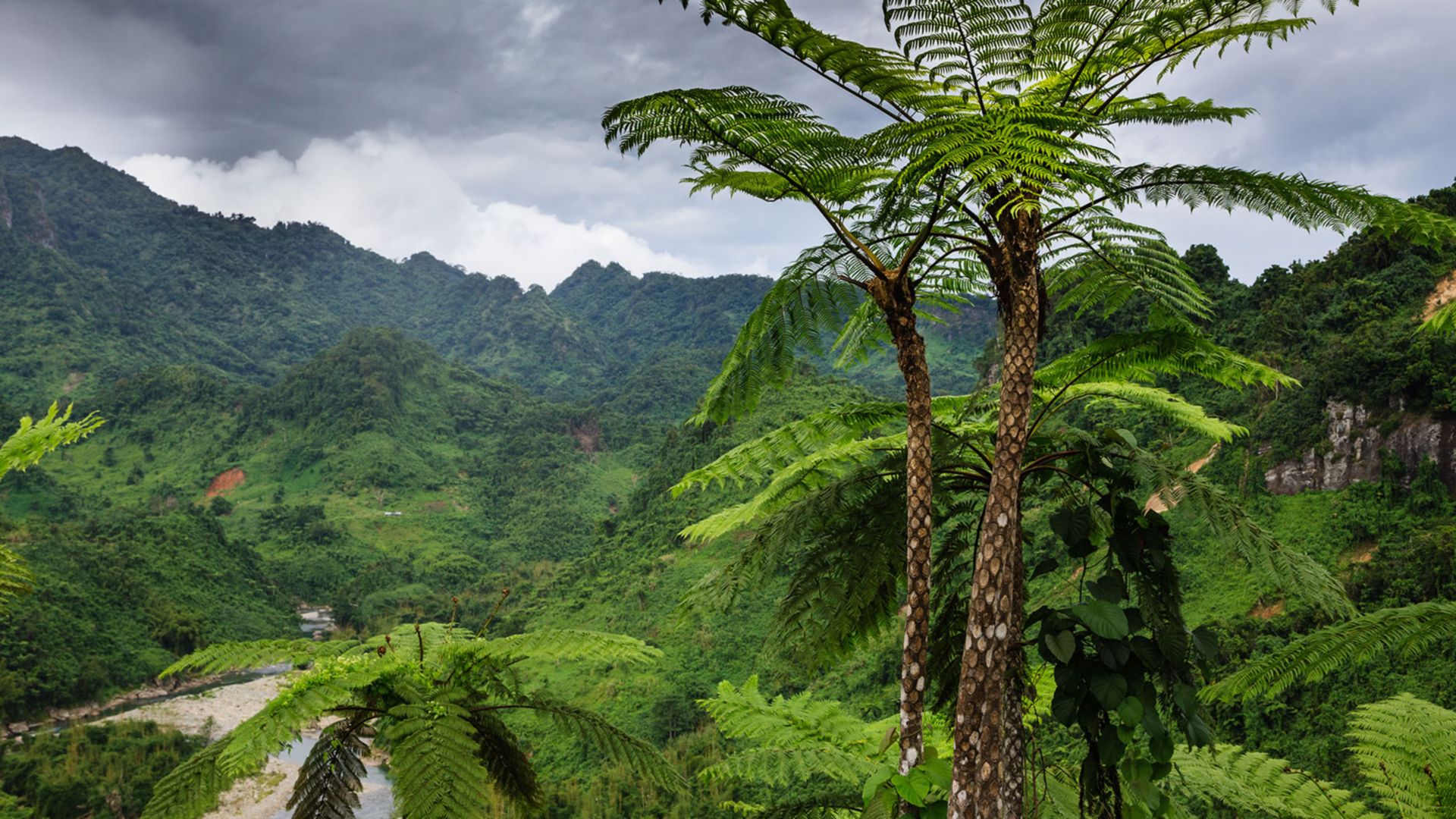 Fiji Museum und Thurston Gardens
