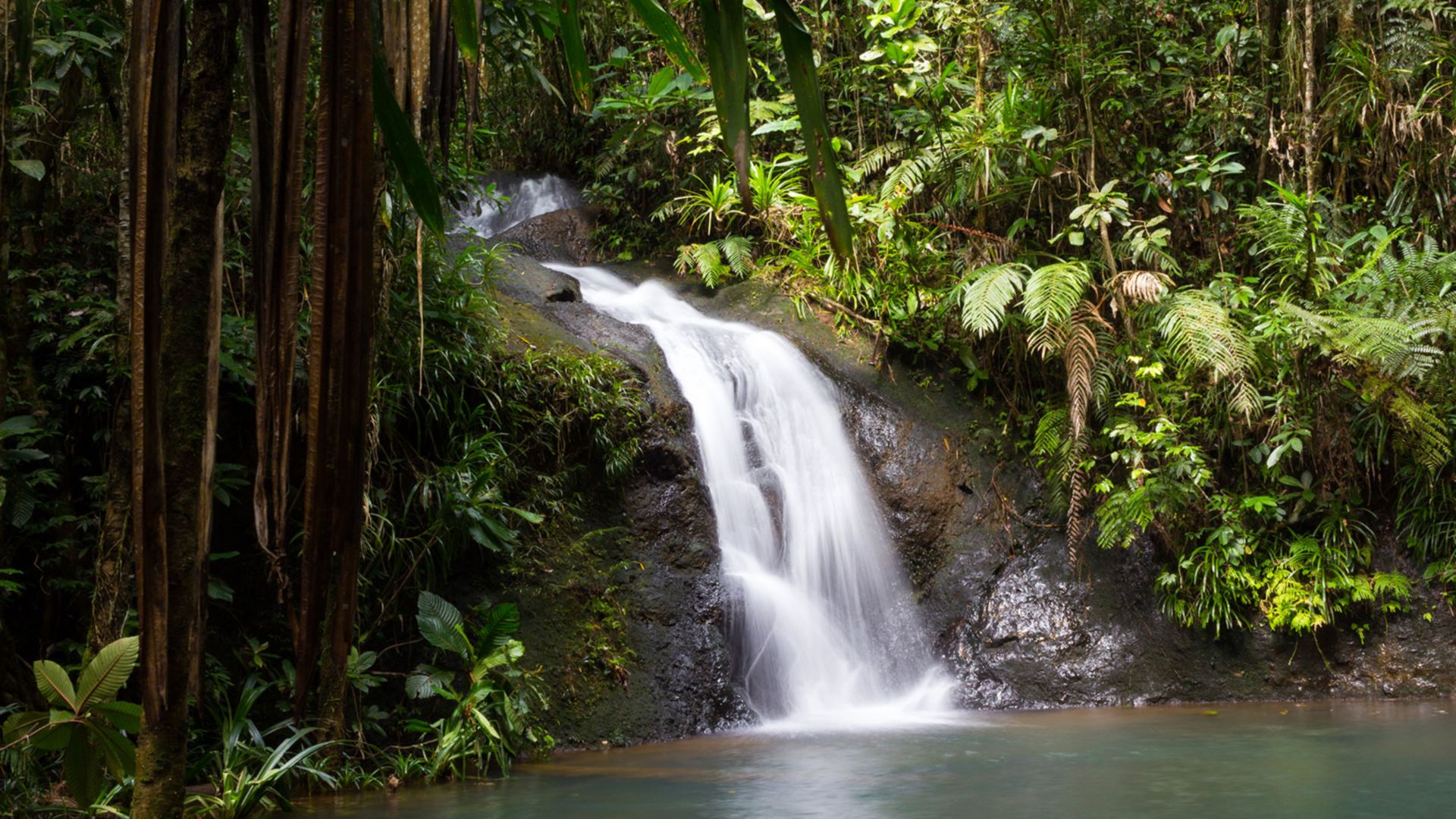 Aufenthalt im Colo-i-Suva Nationalpark