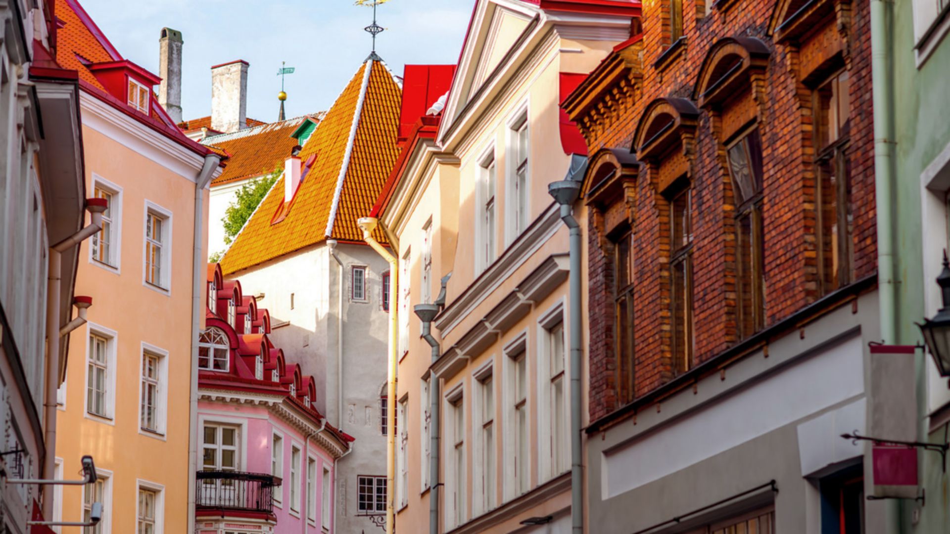 Komm an Land: Zu Fuß durch die mittelalterliche Altstadt