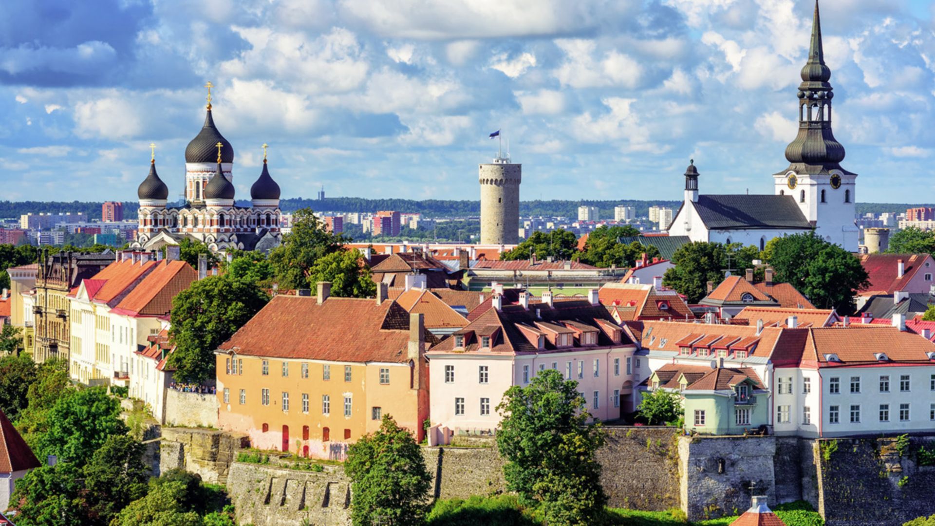 PRIVAT-Tour: Tallinn - ganztags - Auto