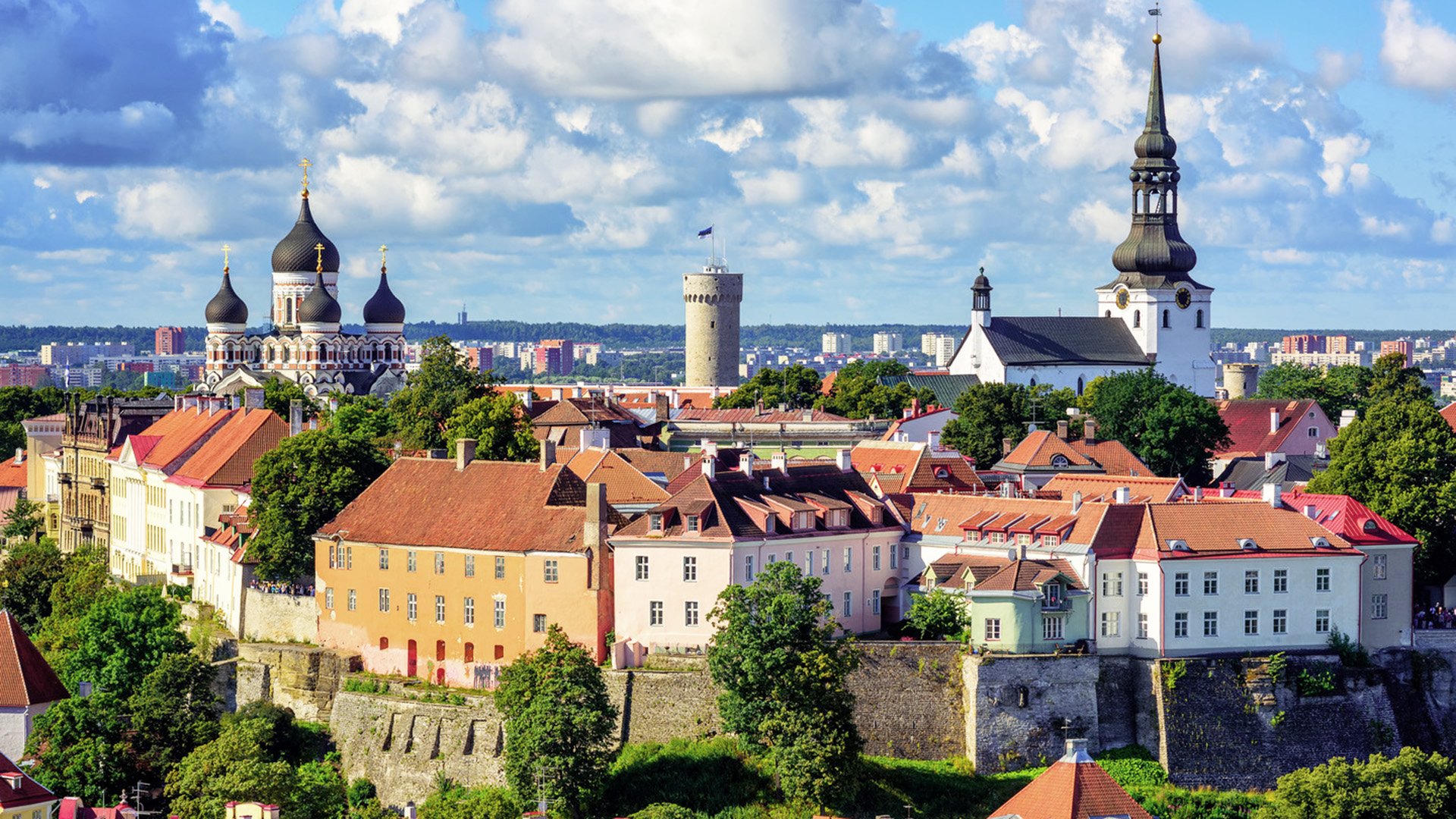 PRIVAT-Tour: Tallinn - ganztags - Auto