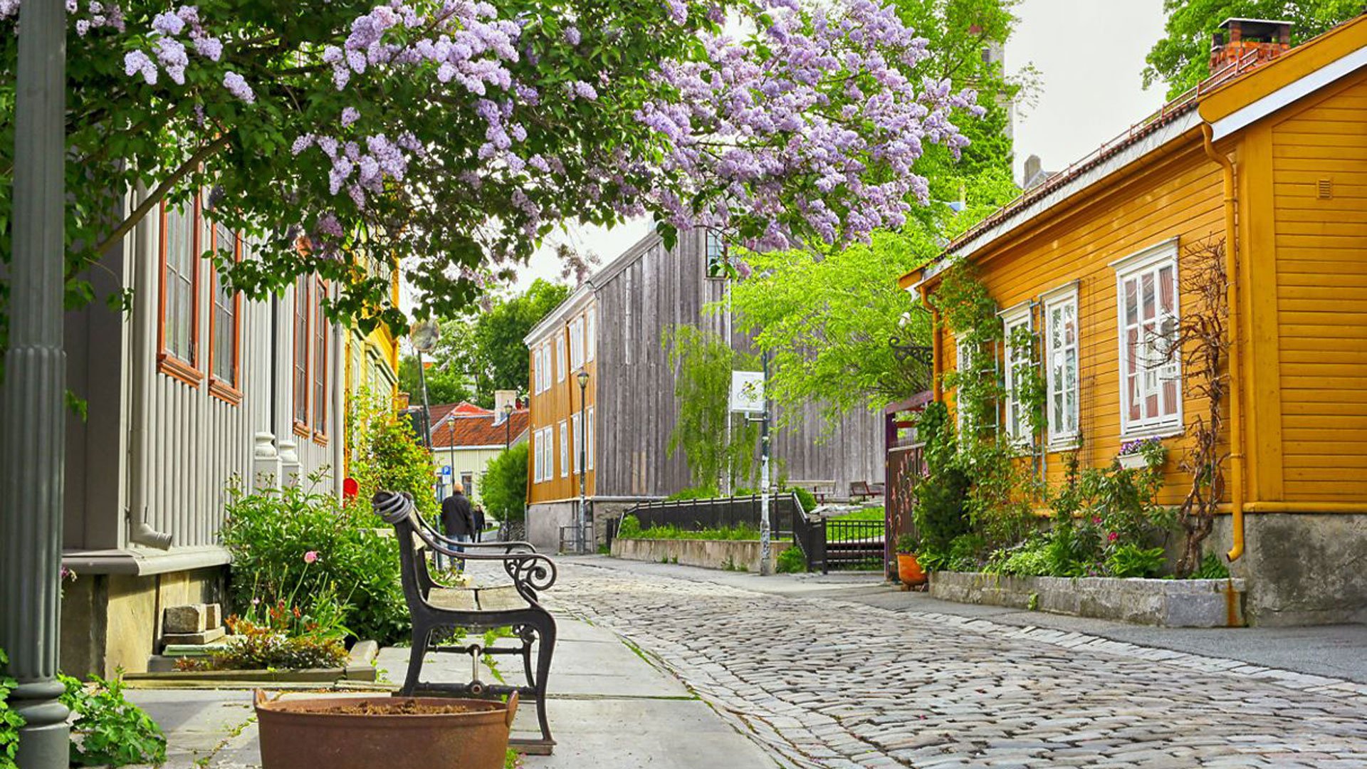Trondheim entdecken