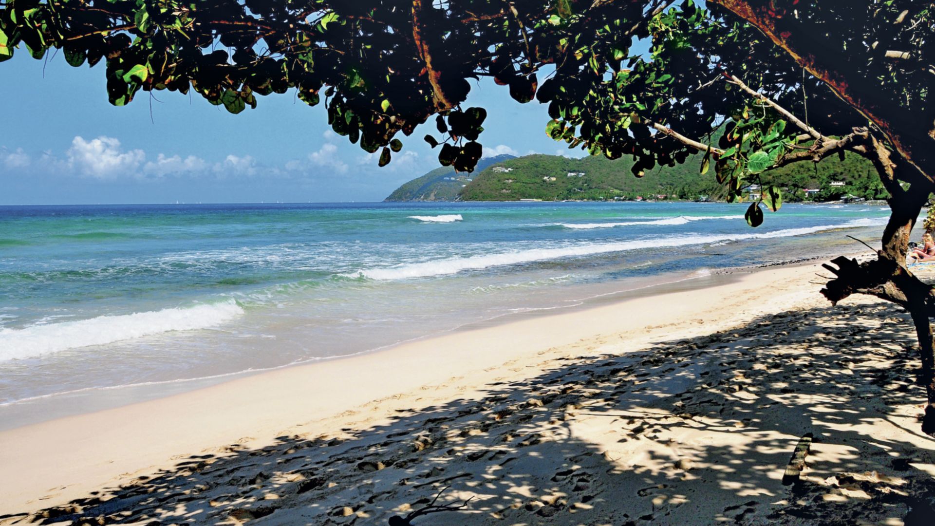 Ein Badetag auf Jost Van Dyke - ganztags