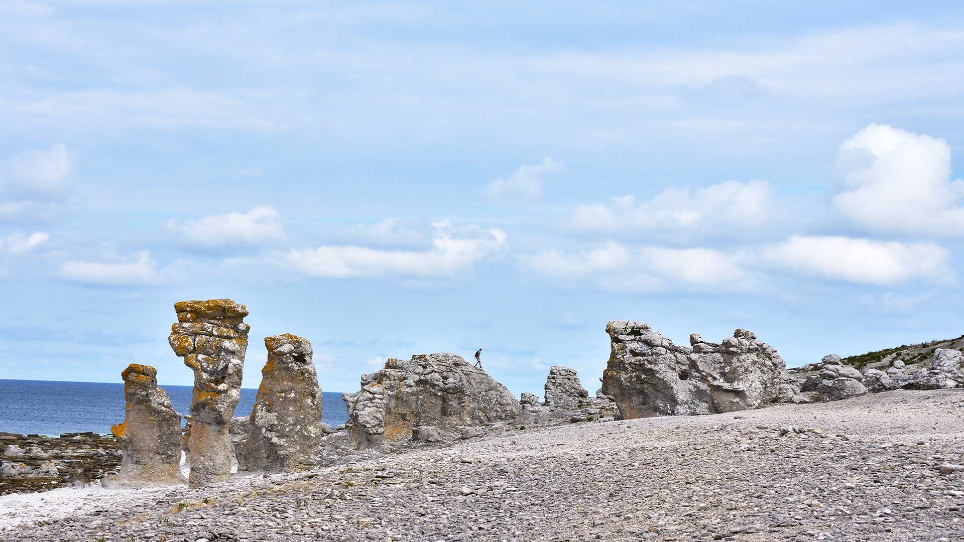 Küste mit Raukensteinen bei Langhammars auf der Insel Farö auf Gotland