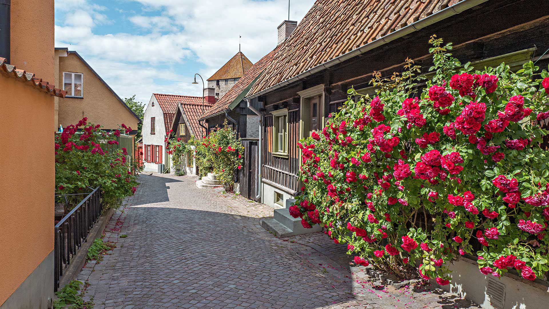 Komm an Land: Spaziergang durch Visbys Altstadt