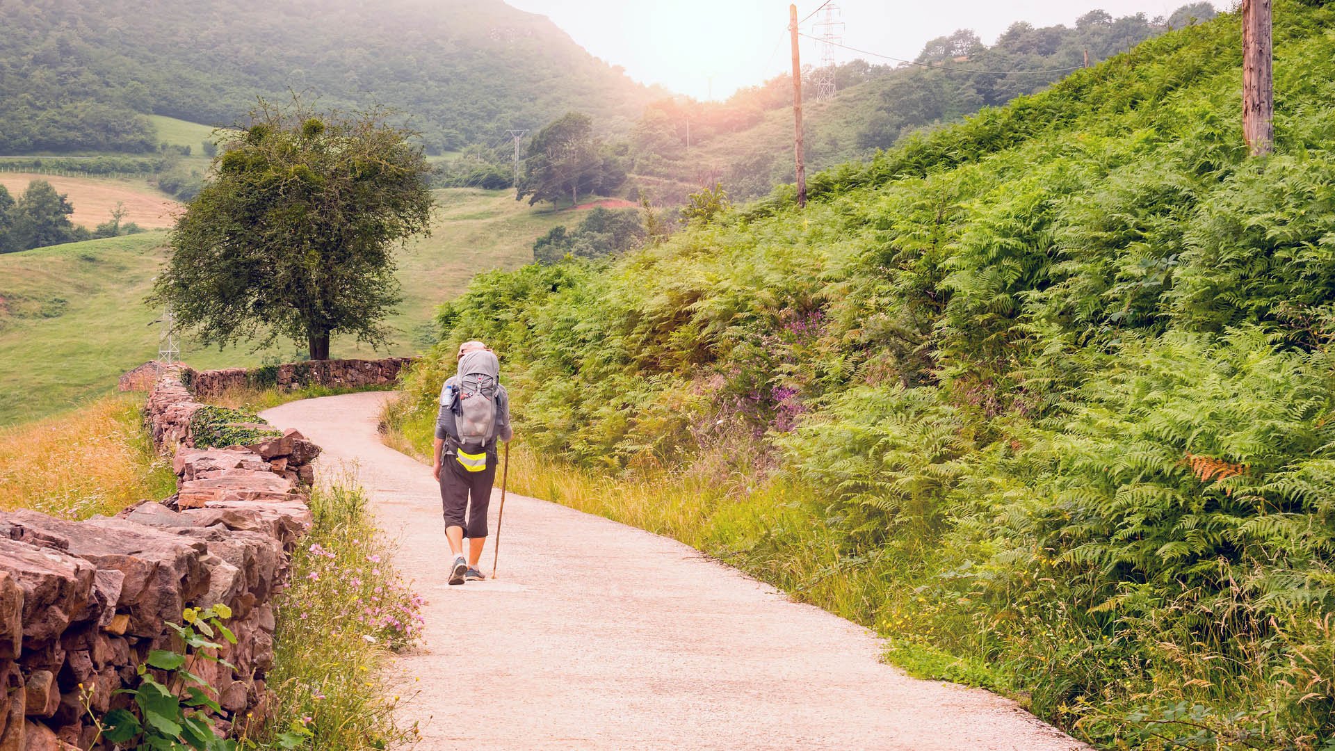 Lonely Pilgrim with backpack walking the Camino de Santiago in Spain, Way of St James