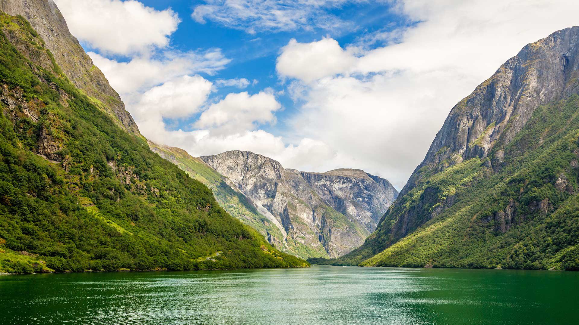 Green mountain walls along narrow Naeroy fjord,  Aurlan, Sogn og Fjordane county, Norway