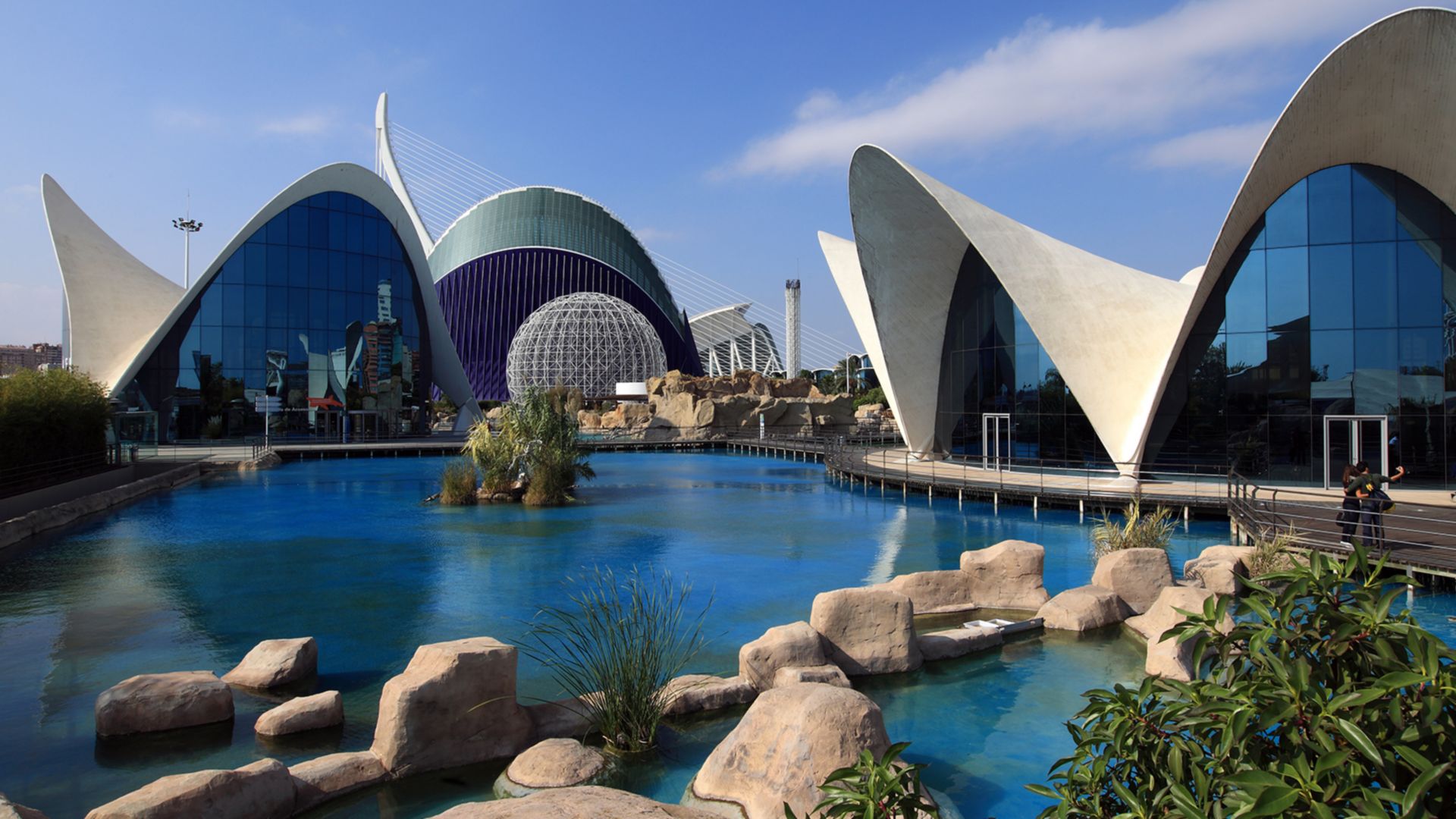 Besuch des Ozeanariums