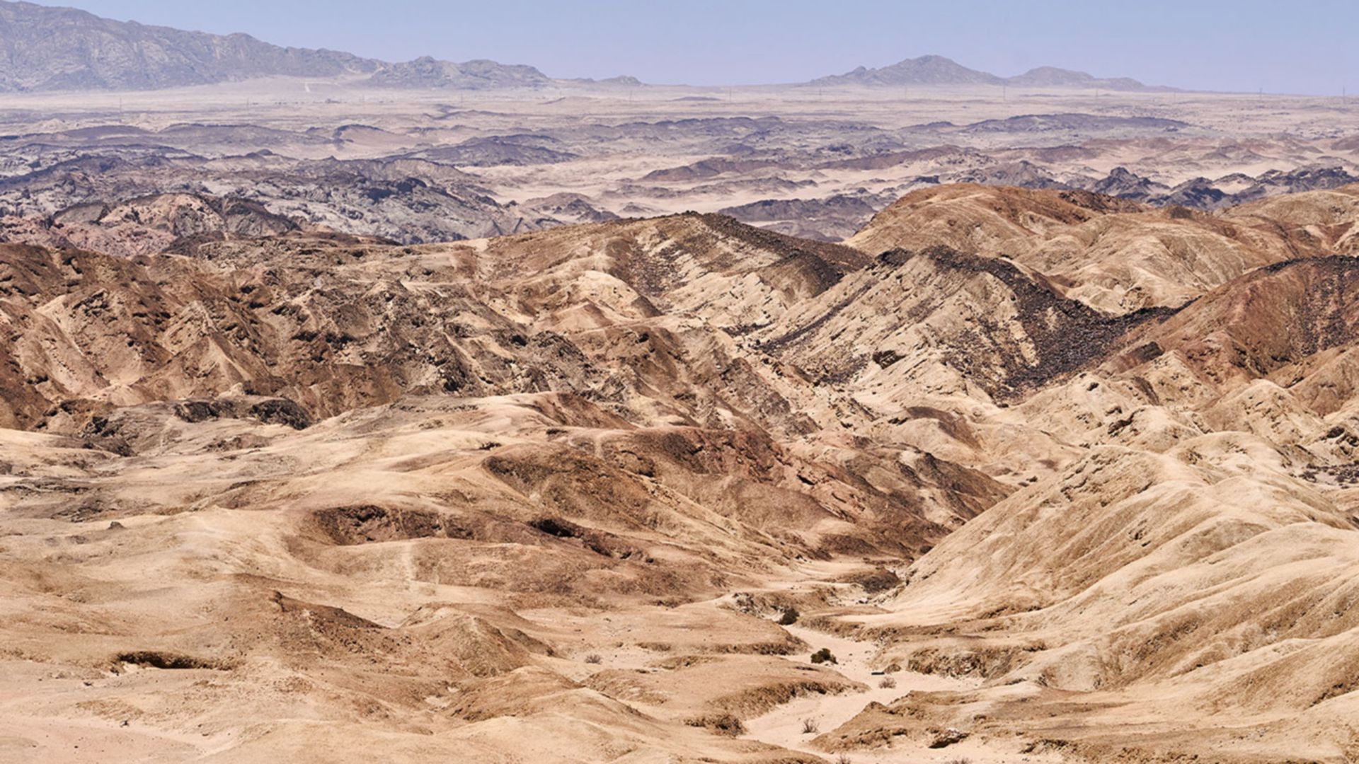 Die Schätze der Namib-Wüste