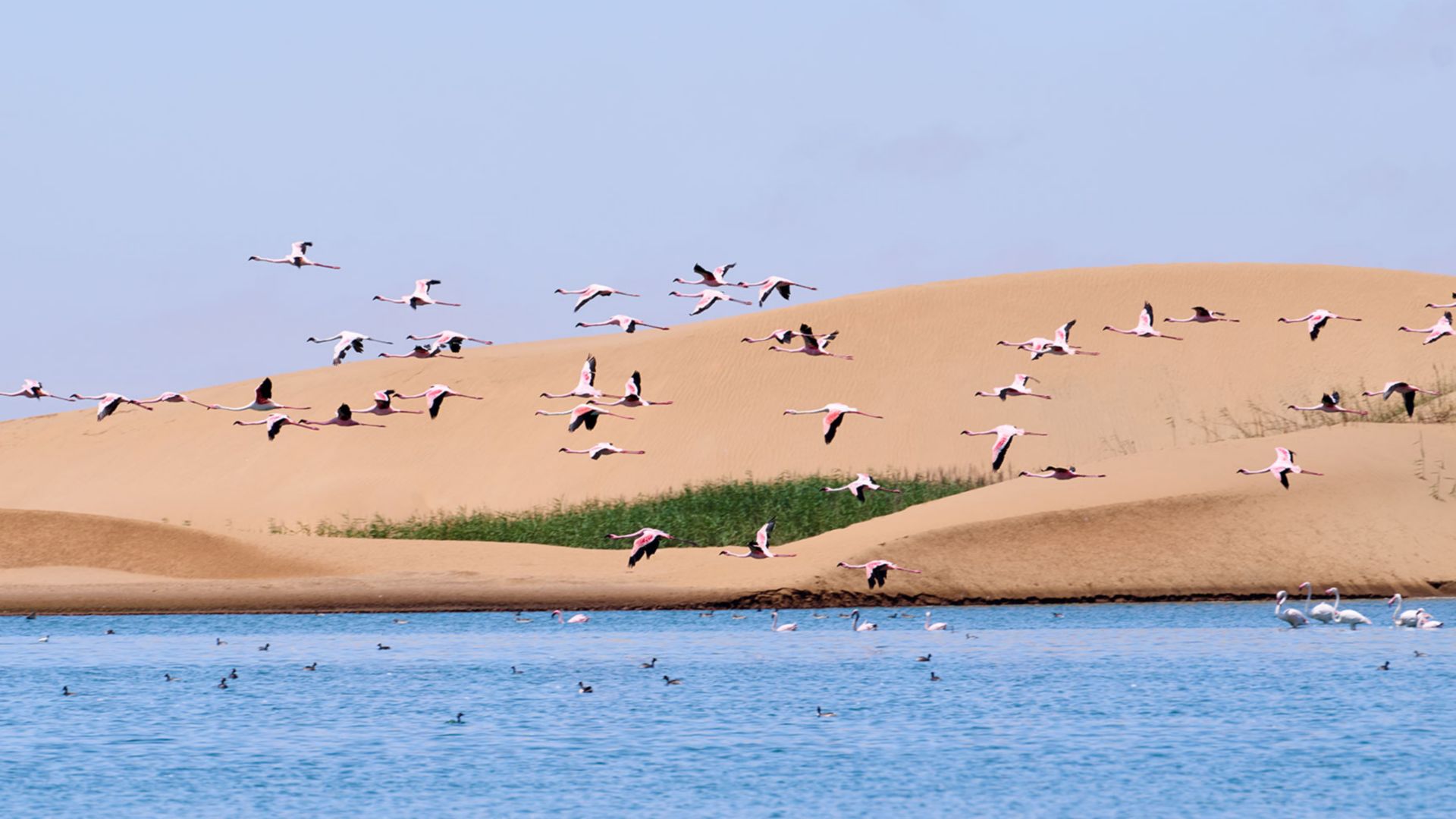 Flamingos, Dünenlandschaft, Swakopmund und Genuss