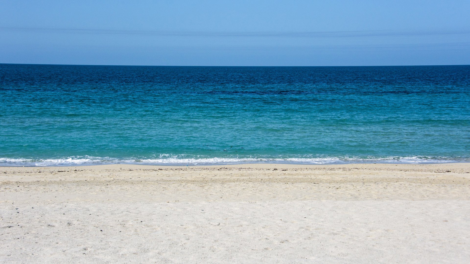 Beach of Sir Bani Yas Island