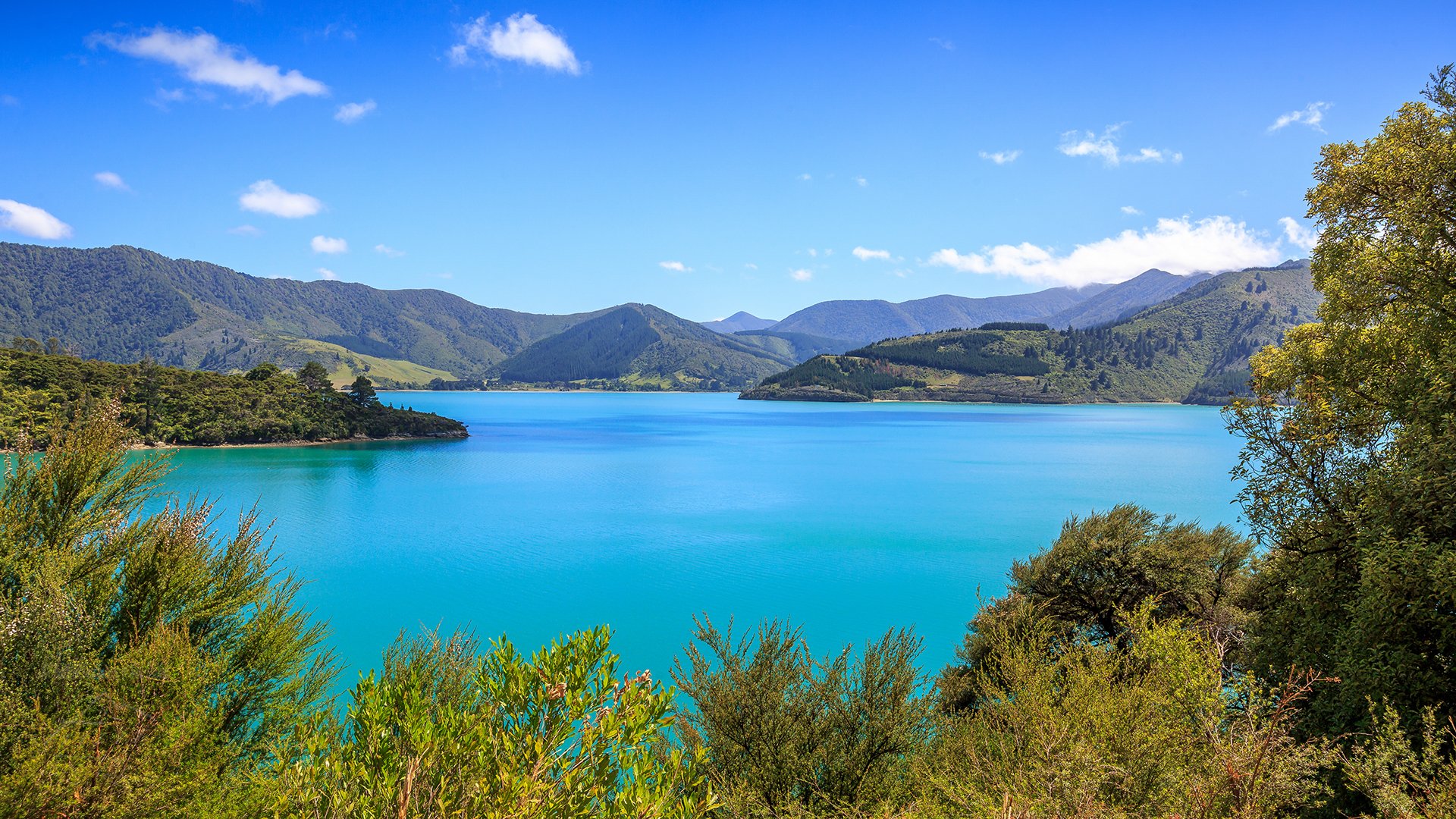 Queens Charlotte Sound mountains and blue sea