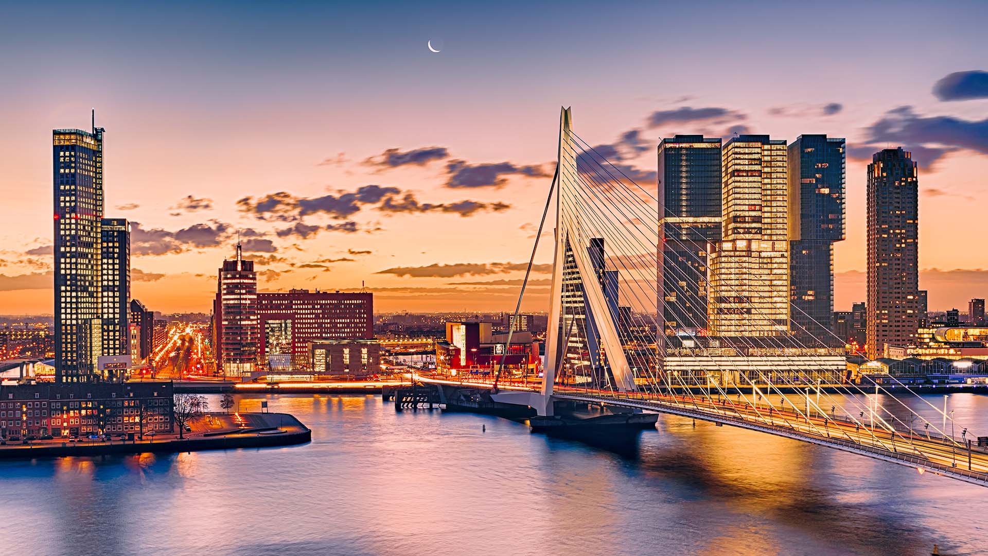 PRIVAT-Tour ab Rotterdam - Van