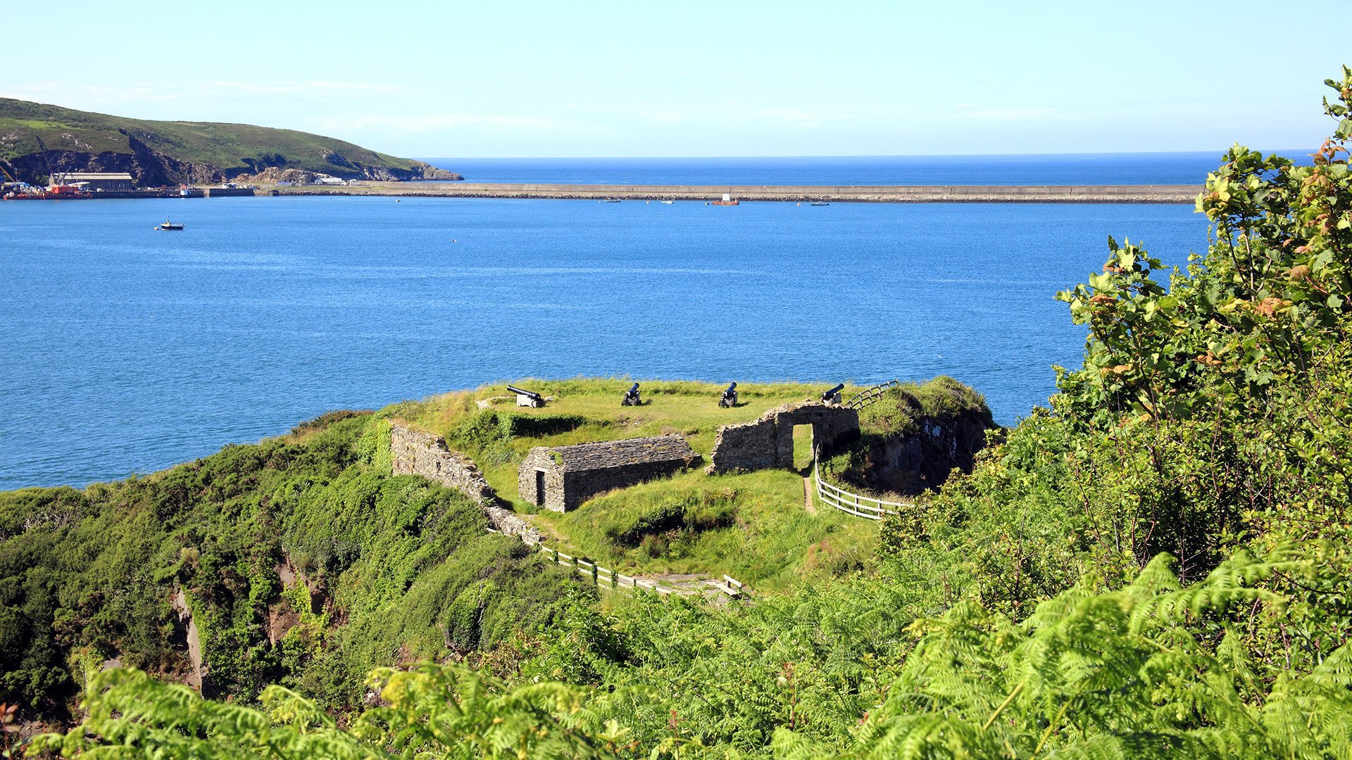 Fishguard AIDA Shuttle Bus