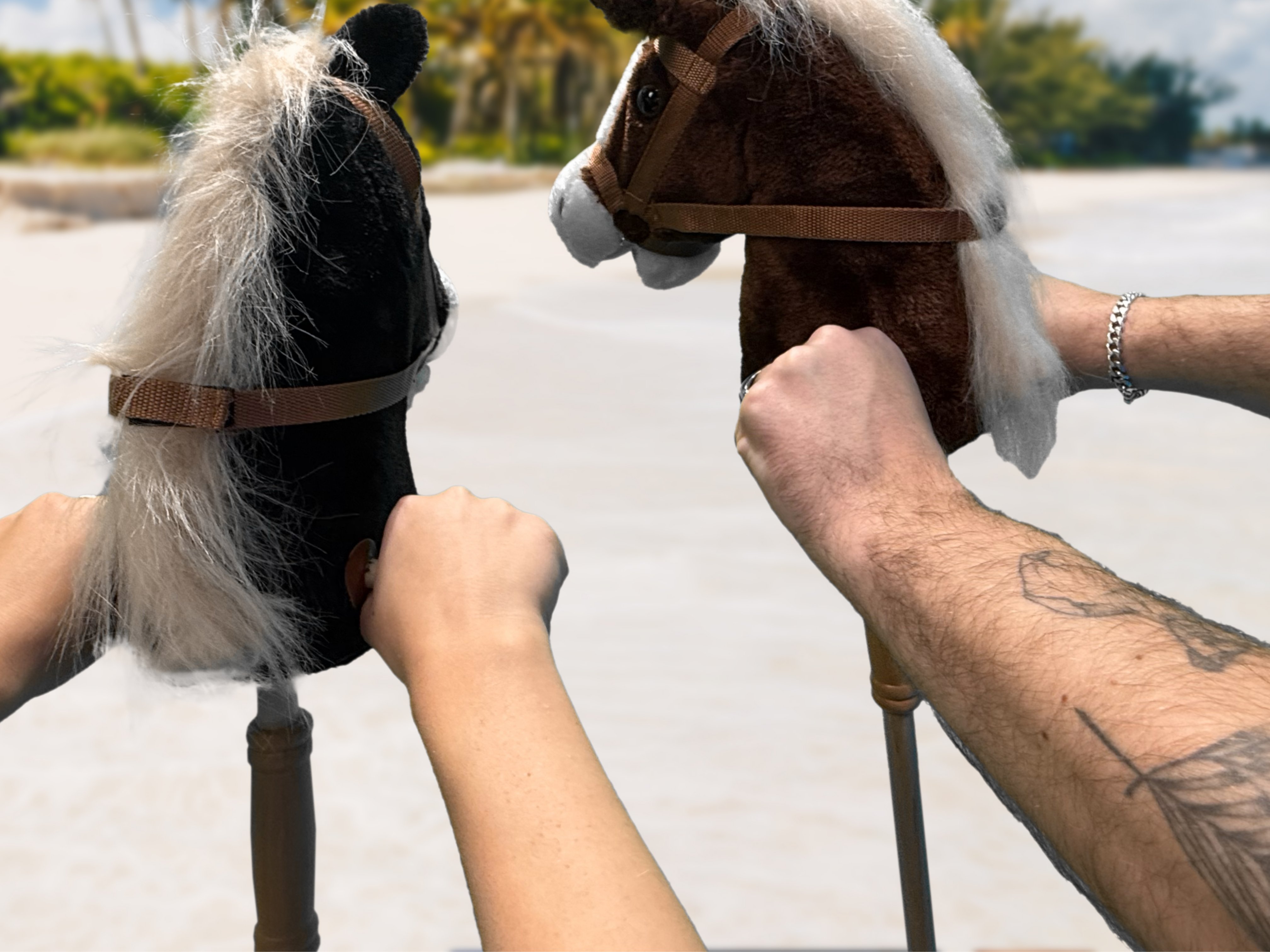 Mit dem Steckenpferd an Traumstränden reiten