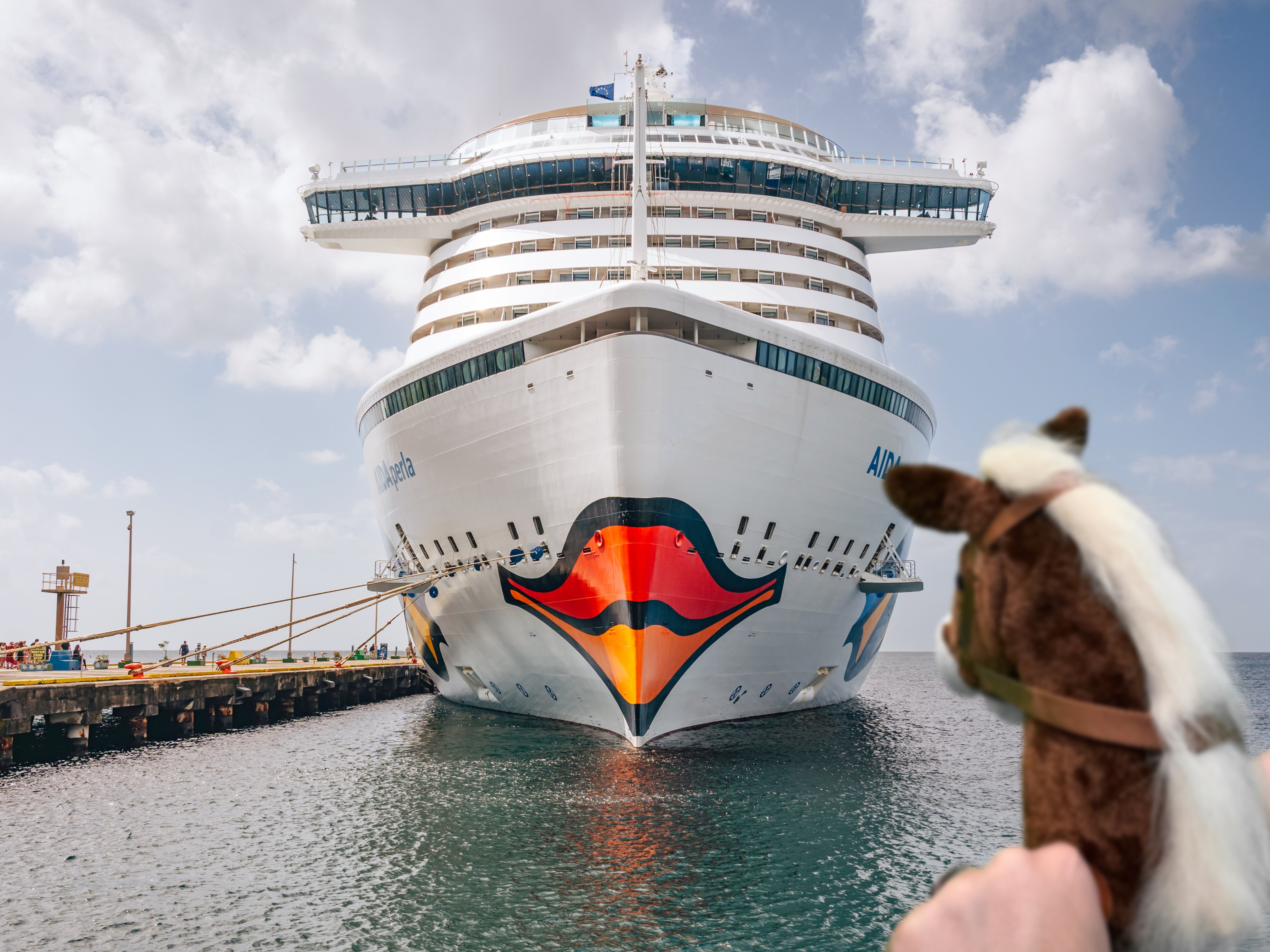 Auf Entdeckungstour mit unseren Steckenpferden