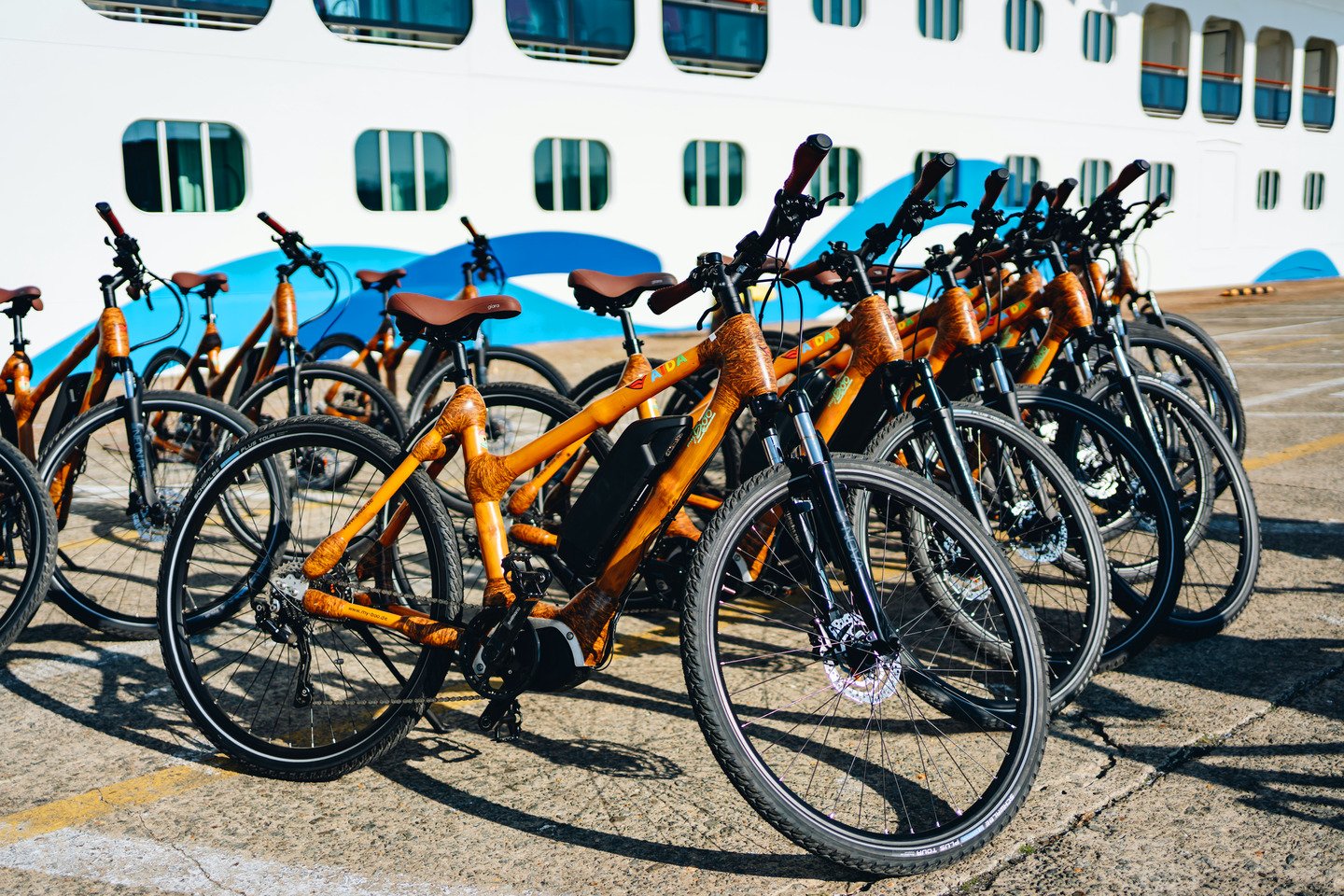 Vesterålen - Natur pur mit dem E-Bike