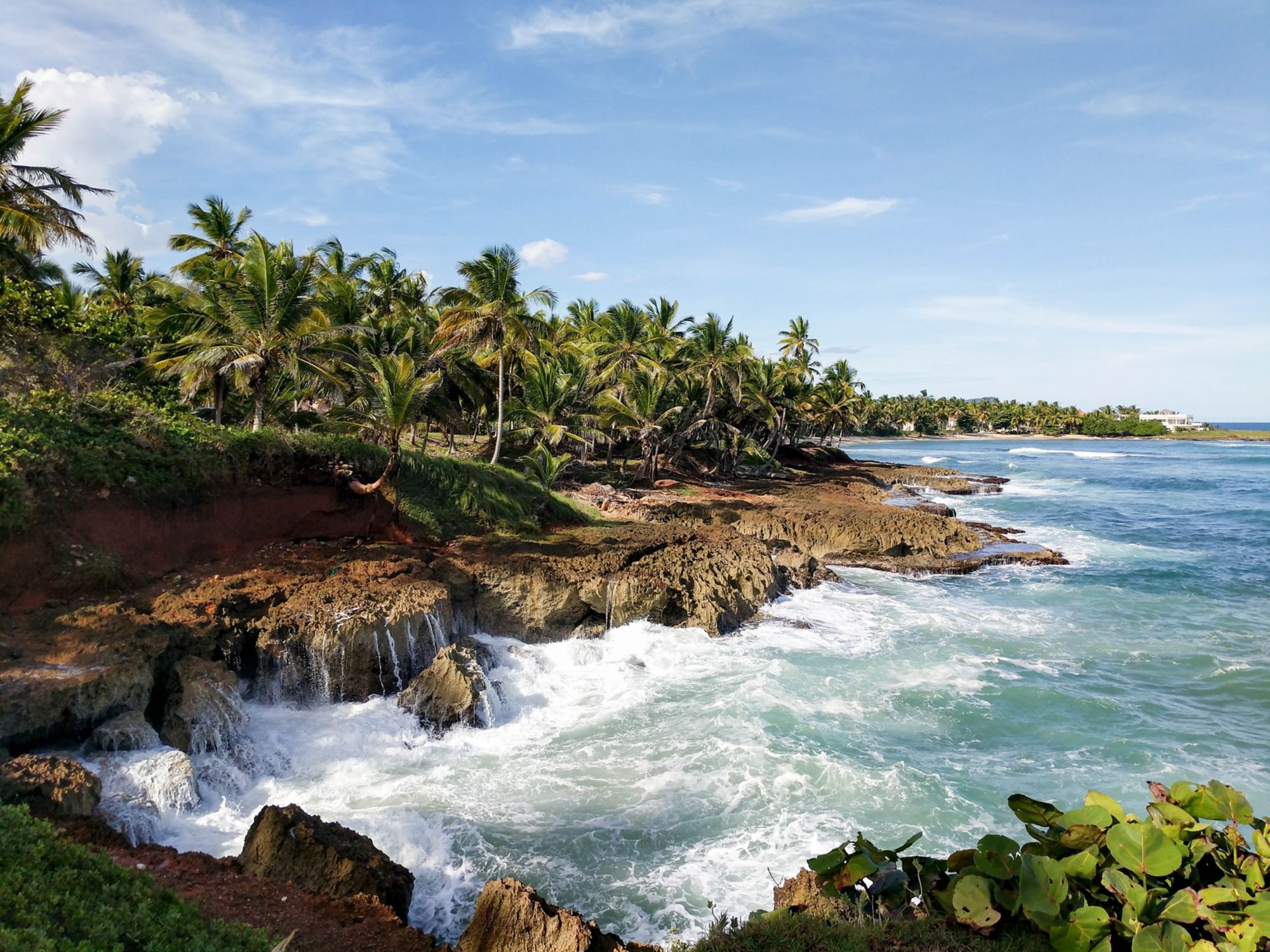 Samana