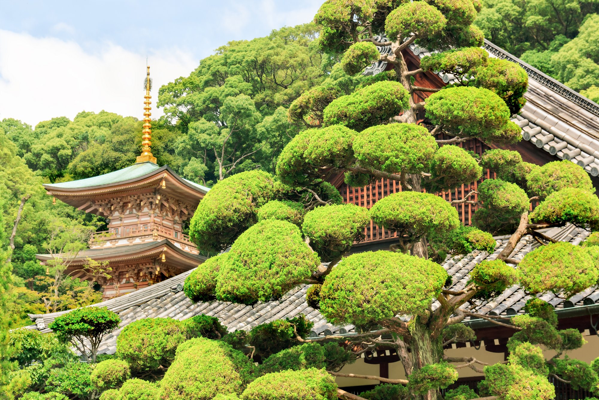 Suma Temple in Kobe, Japan; Shutterstock ID 410019598; purchase_order: BB23-28333 at; job: ; client: AIDA Cruises; other: 