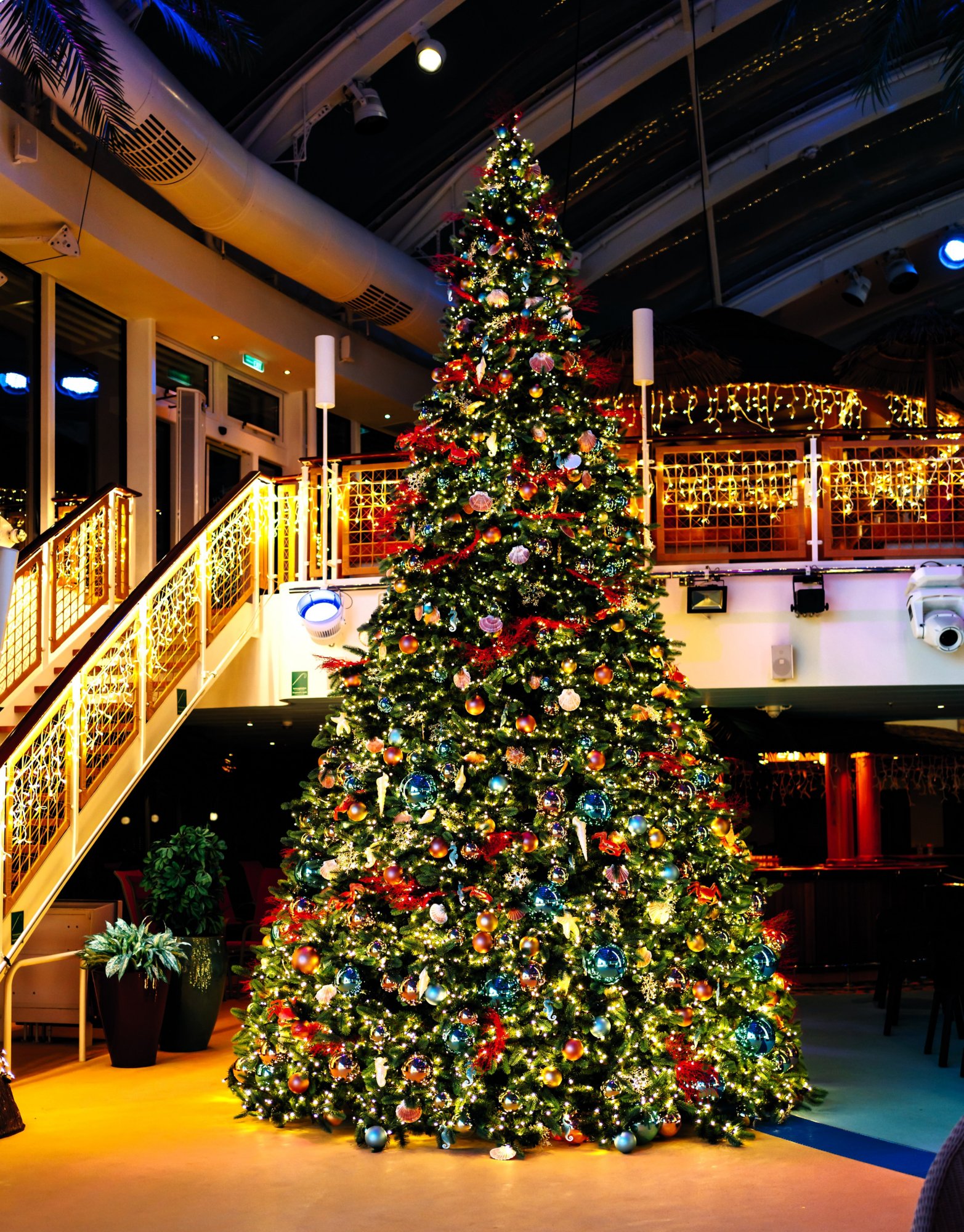 Gigant-Weihnachtsbaum