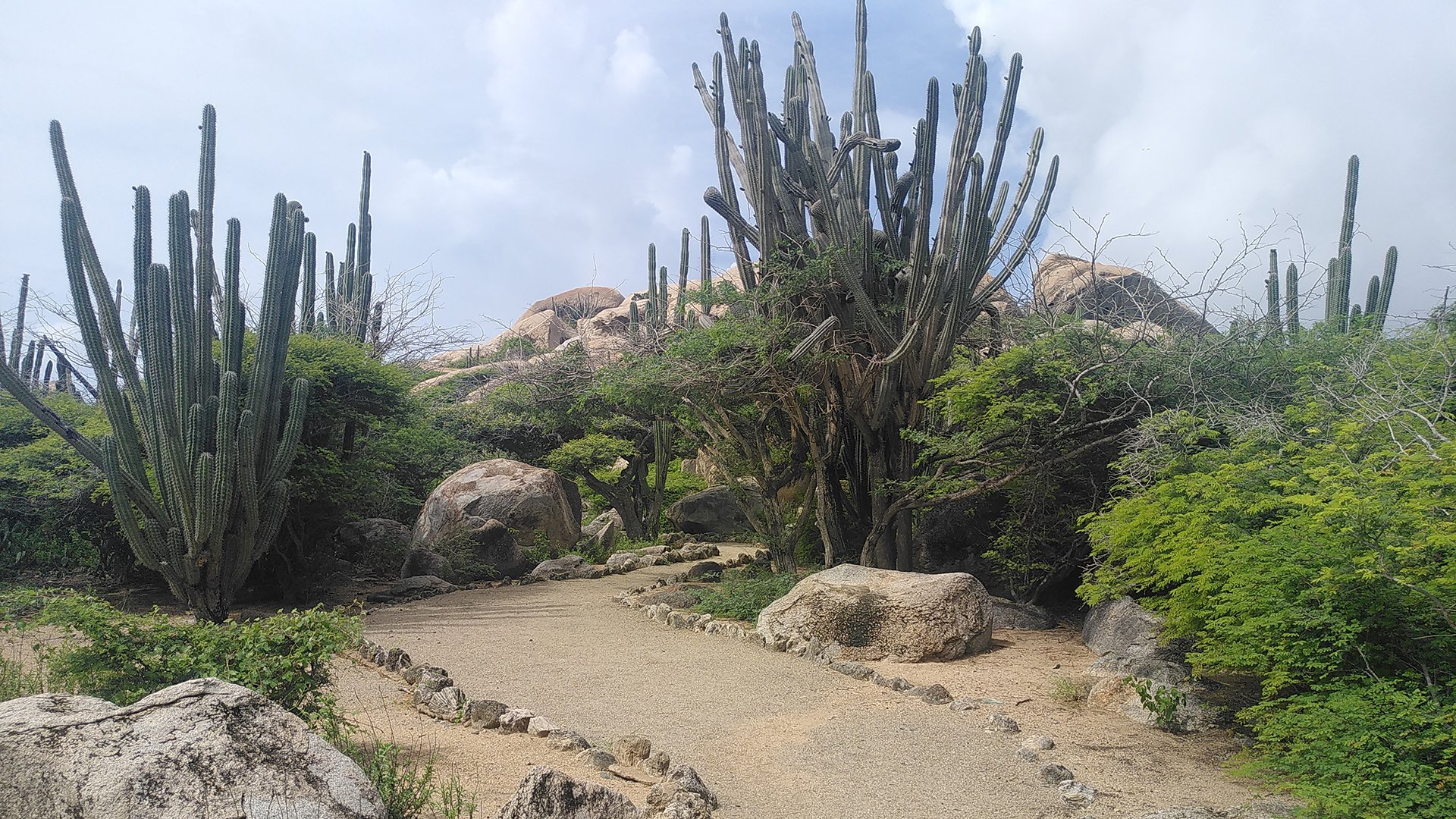 Komm an Land: Aruba auf einen Blick