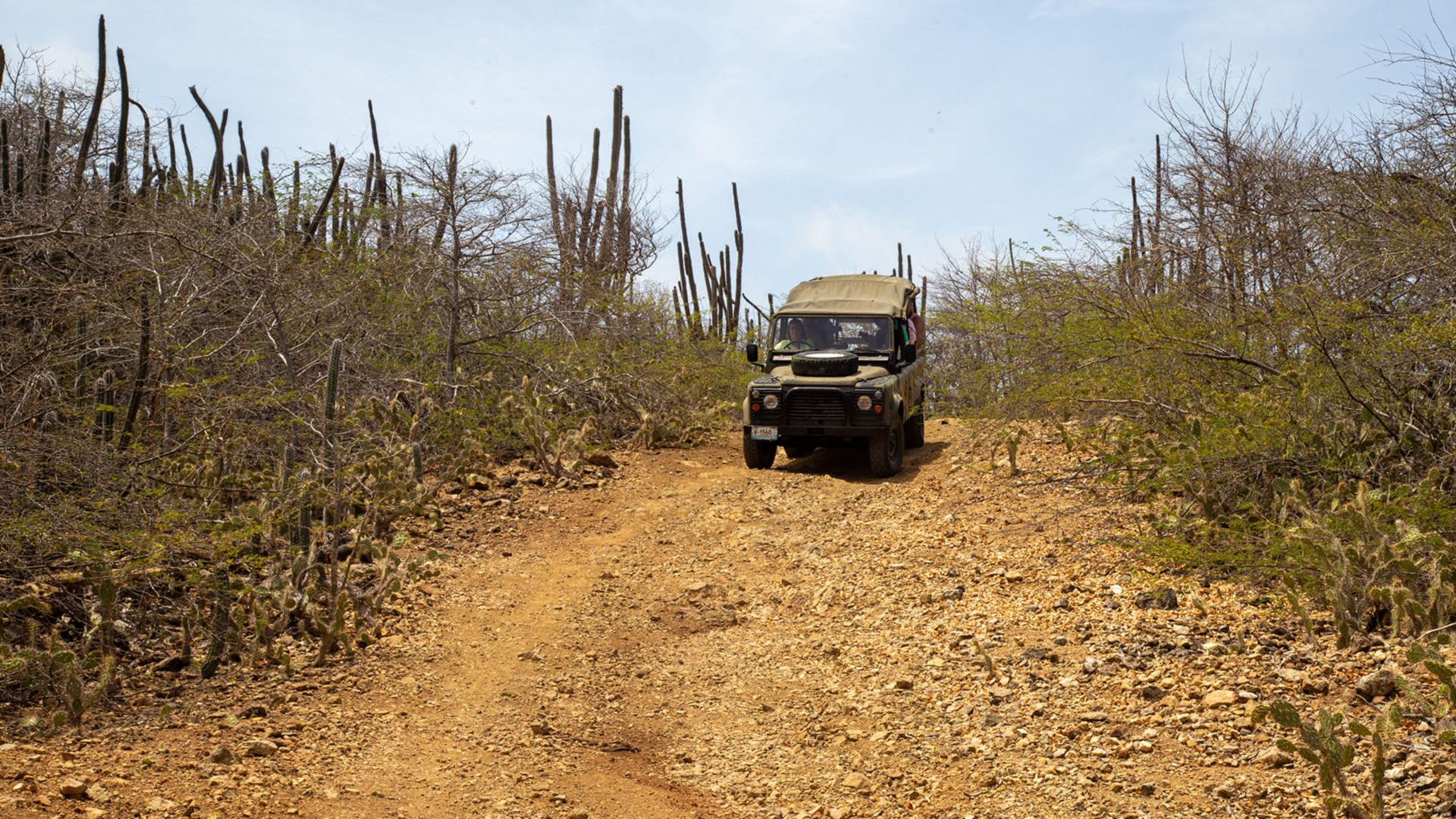 Bonaire mit dem Geländewagen entdecken