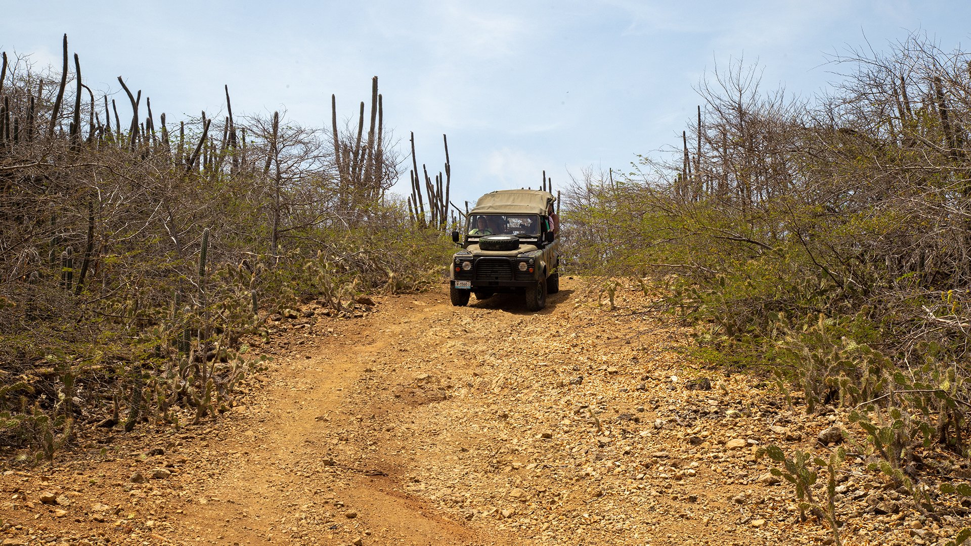 Bonaire mit dem Geländewagen entdecken