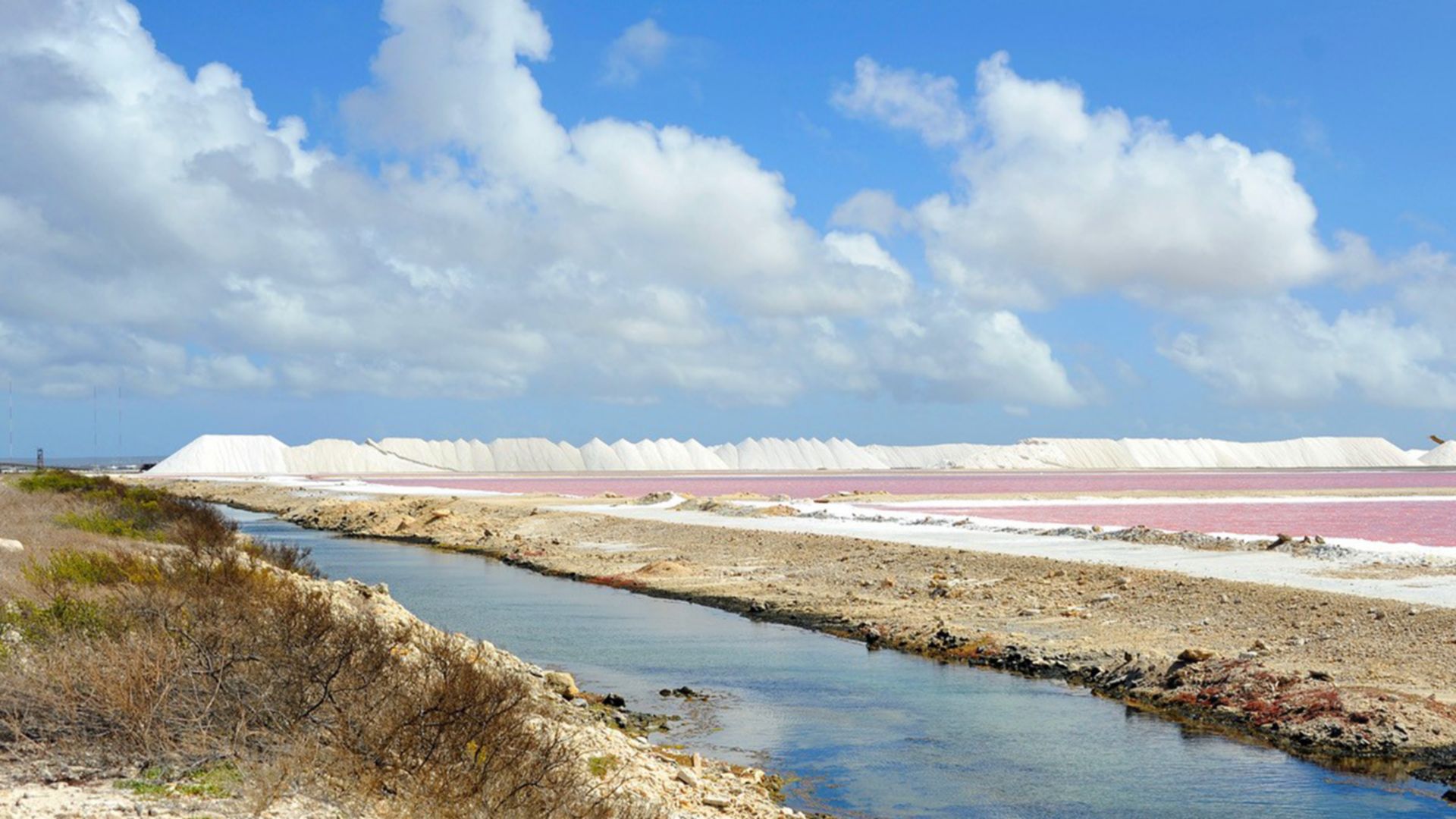 Bonaires Highlights und Strand