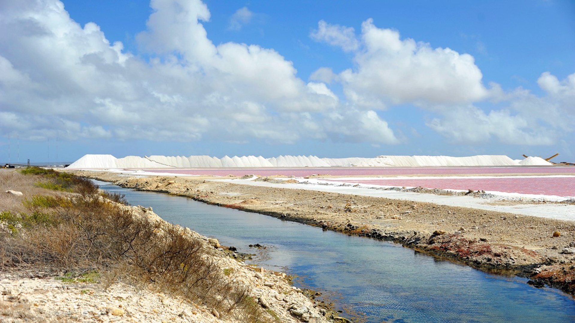Bonaires Highlights und Strand
