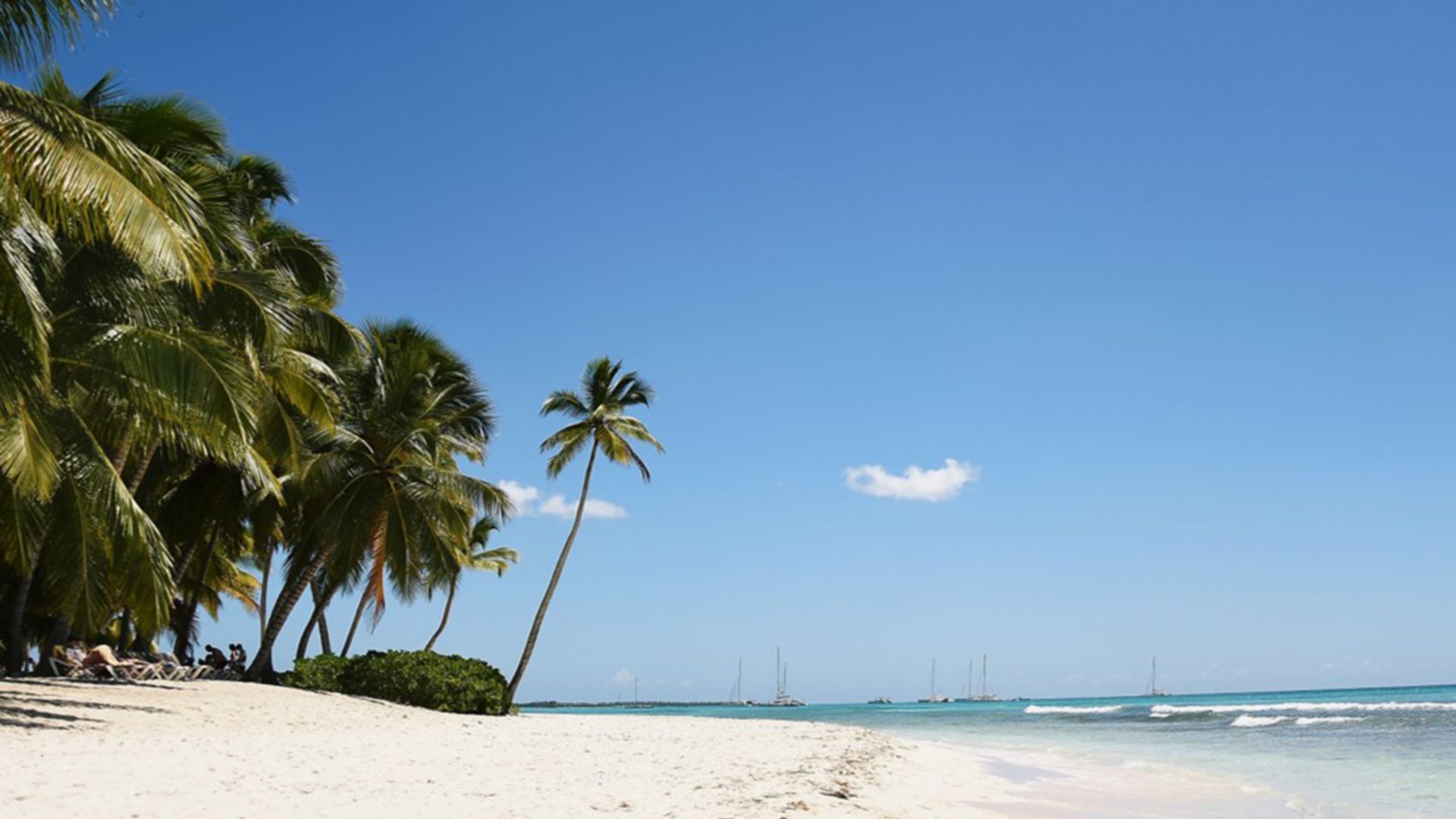 Isla Saona mit dem Katamaran und Schnellboot