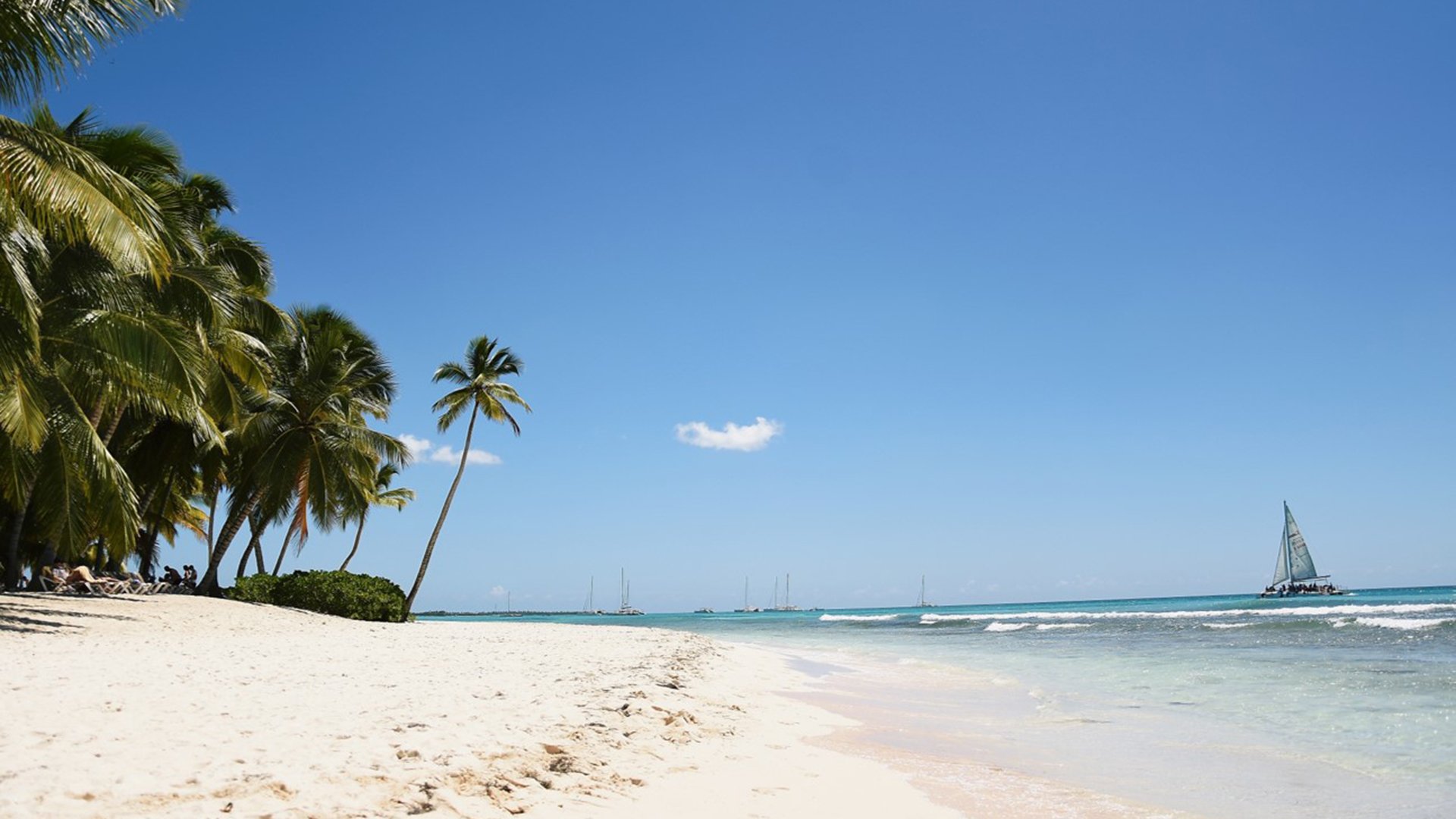 Isla Saona mit dem Katamaran und Schnellboot