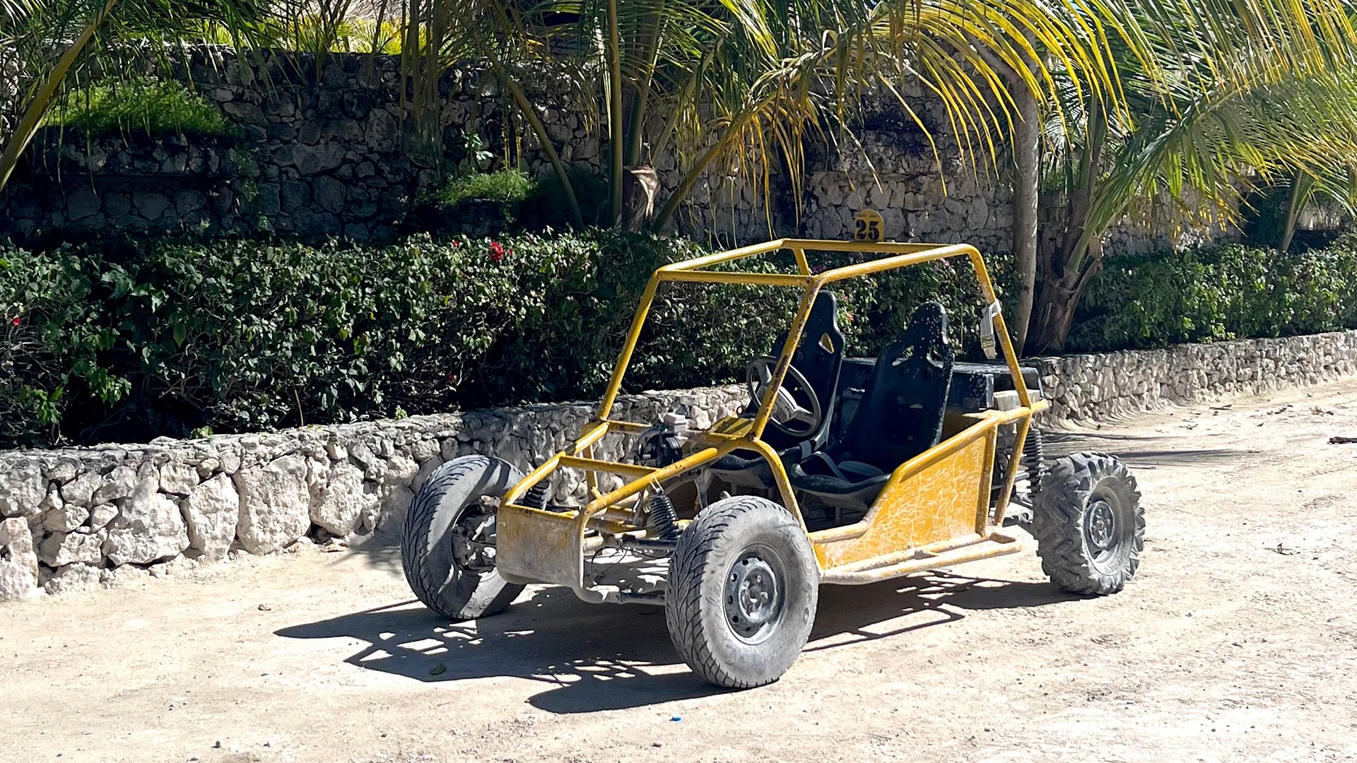 Fahrspaß mit Buggy (Doppel)