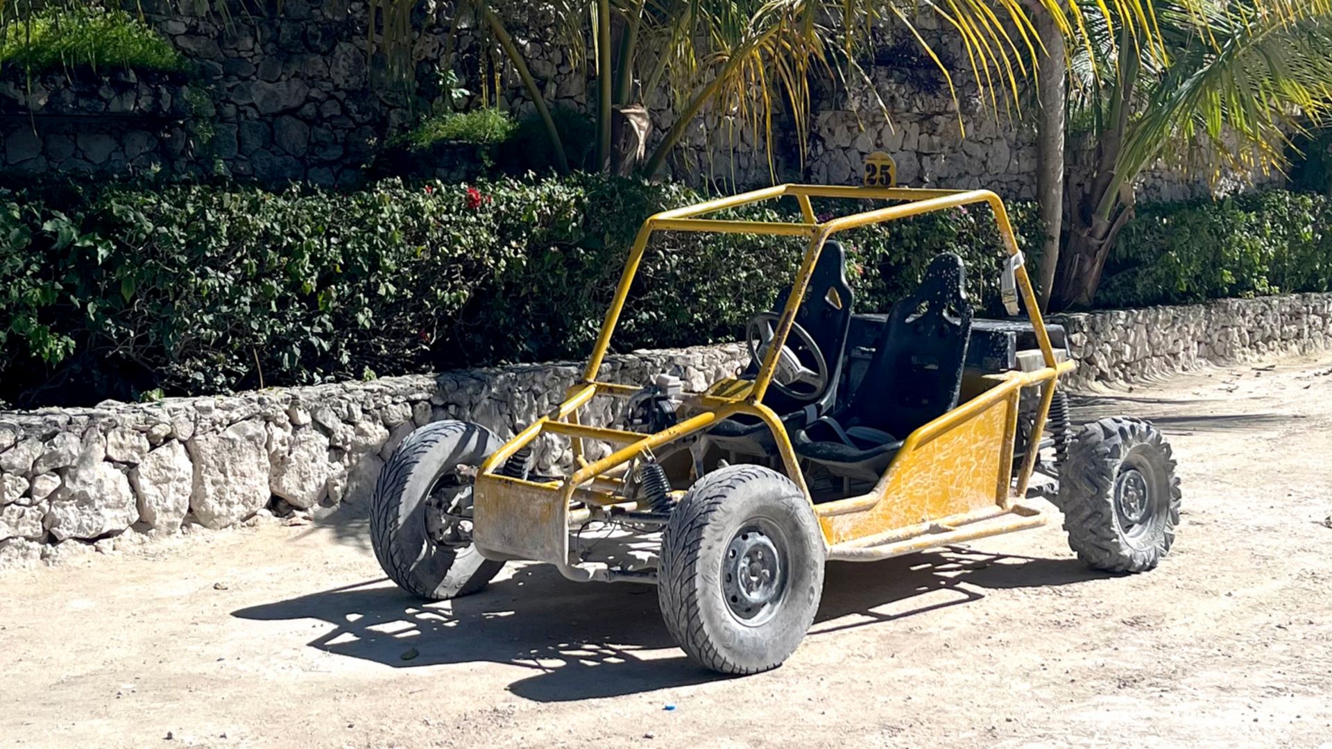 Fahrspaß mit Buggy (Doppel)