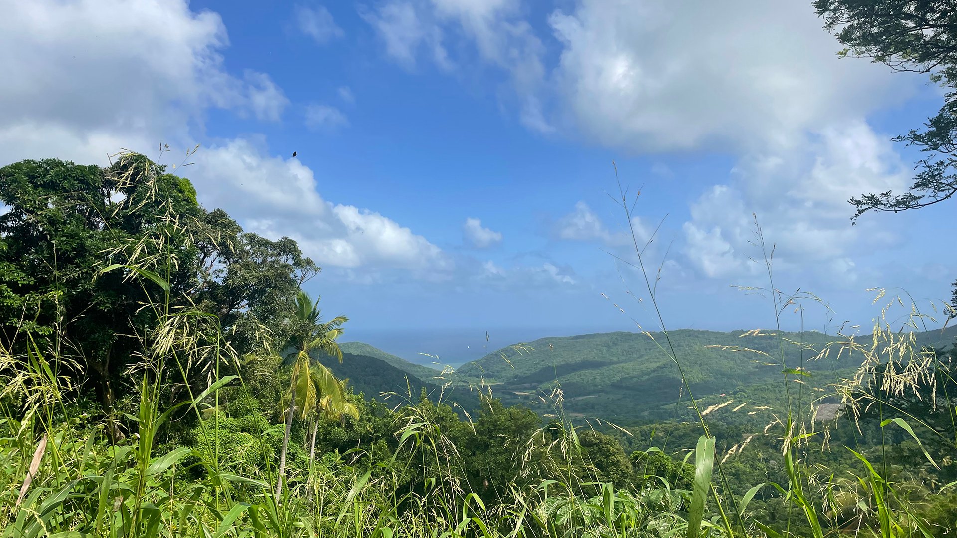Aussichten auf St. Lucia mit dem E-Bike erleben