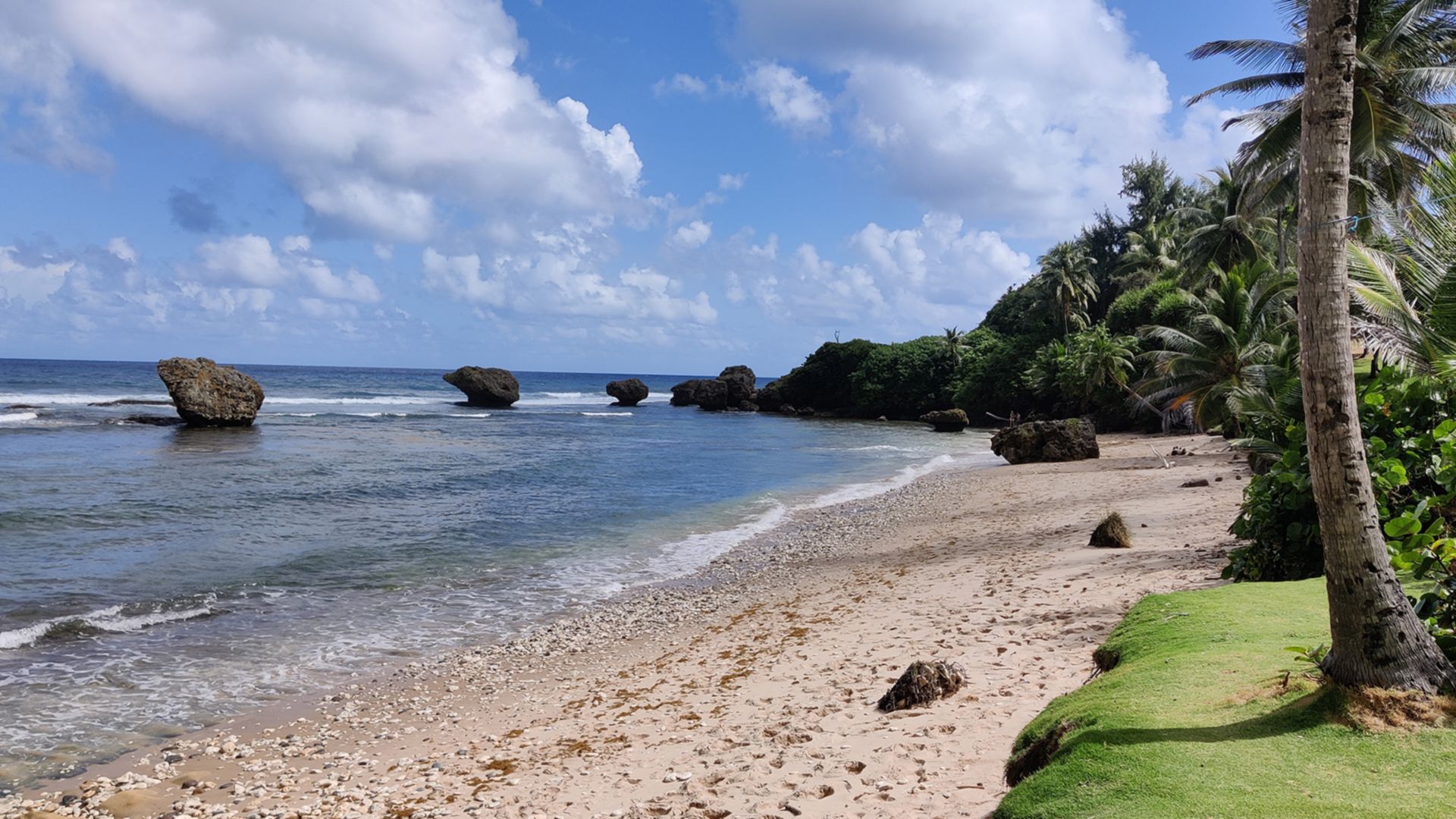 Barbados: Natur und Kultur