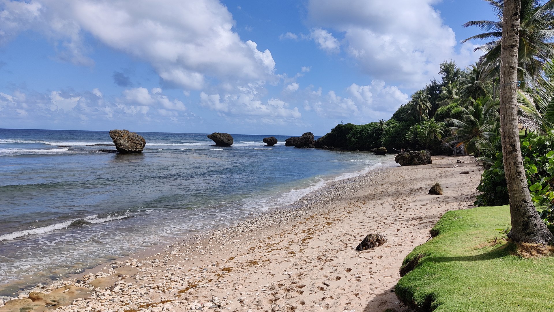 Barbados: Natur und Kultur