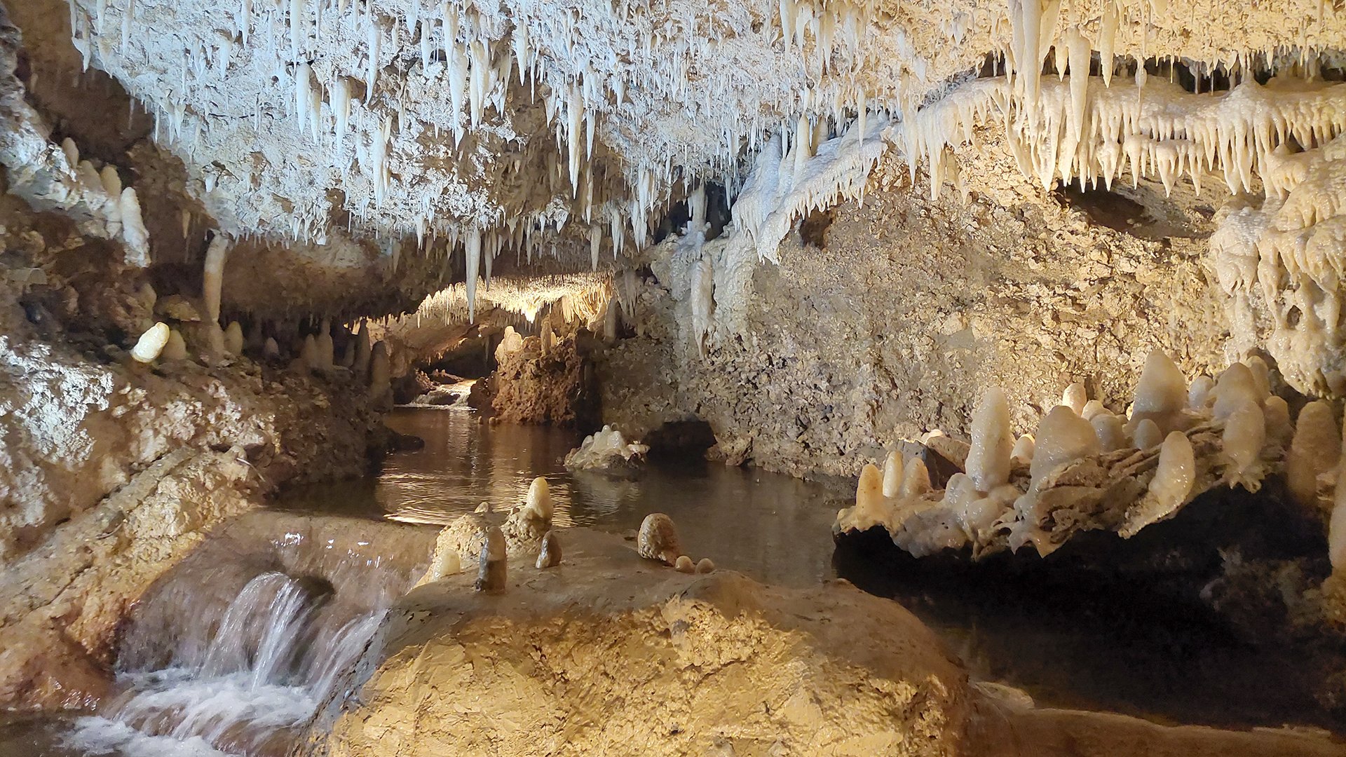 Harrison’s Cave – Naturwunder der Karibik