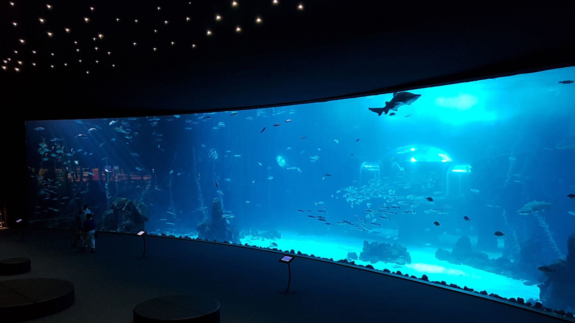 Eintrittsticket Poema del Mar: Aquarium – Meerwelten zum Staunen