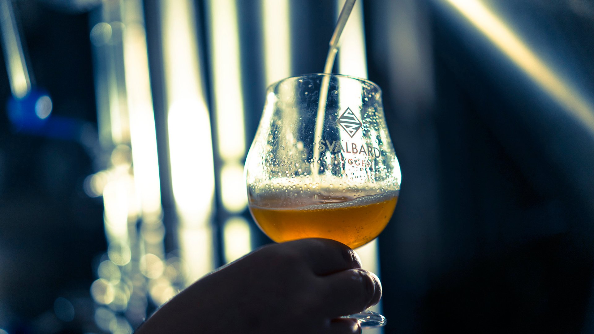 Komm an Land: Zu Fuß Longyearbyen entdecken und arktisches Polar-Bier