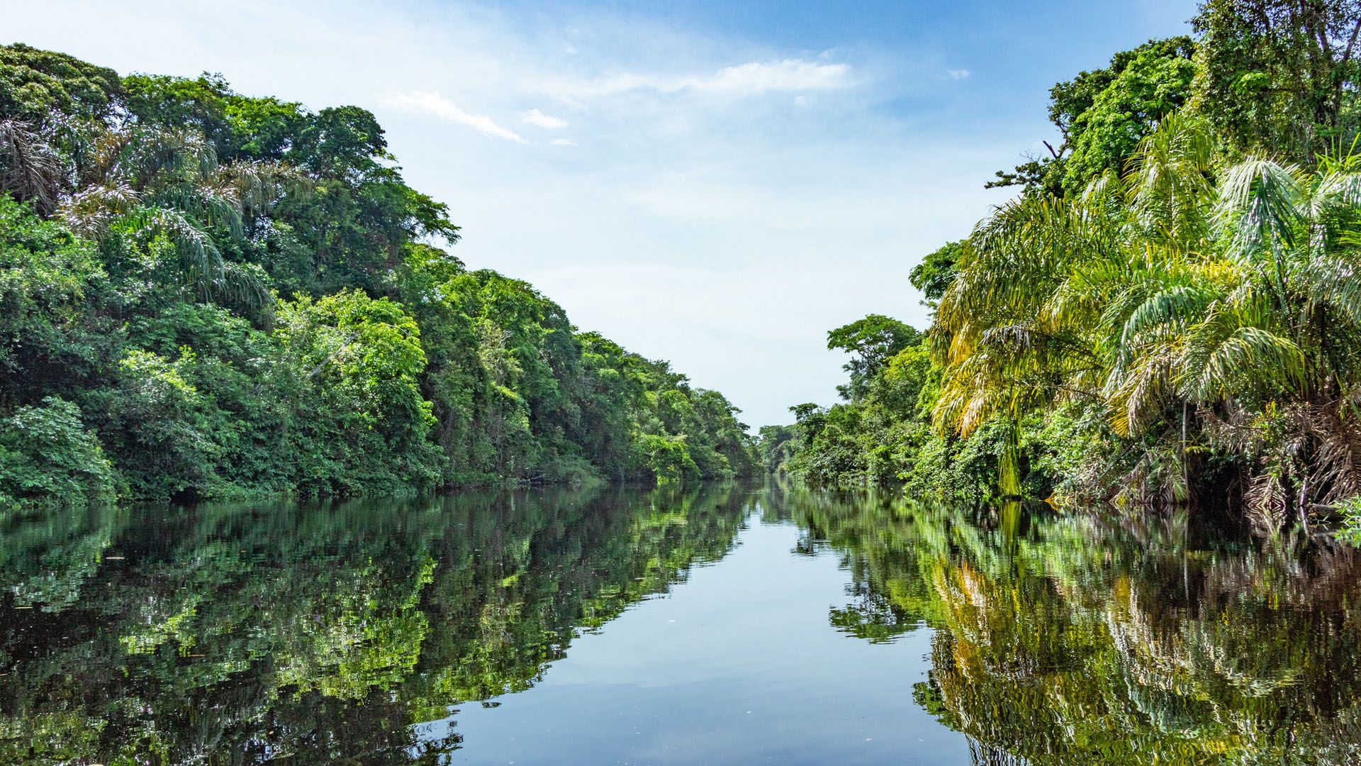 Die Kanäle von Tortuguero