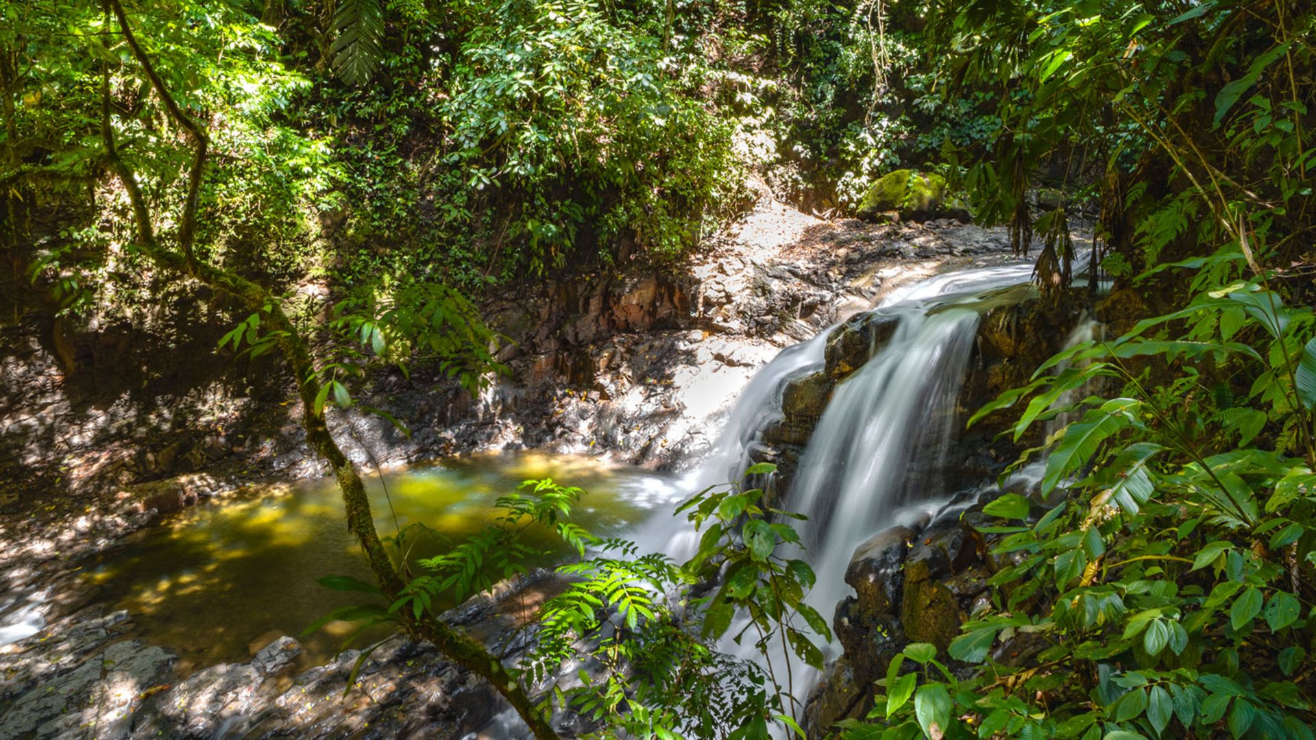 Costa Ricas Regenwald zu Wasser und aus der Luft erleben