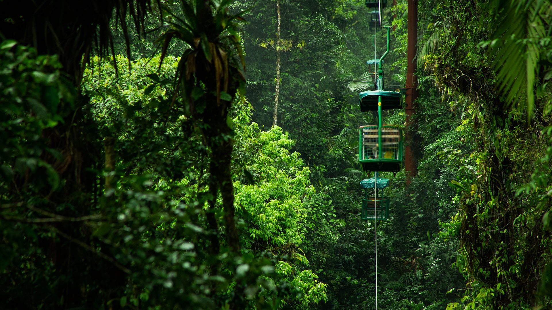 Braulio Carrillo Nationalpark per Seilbahn 