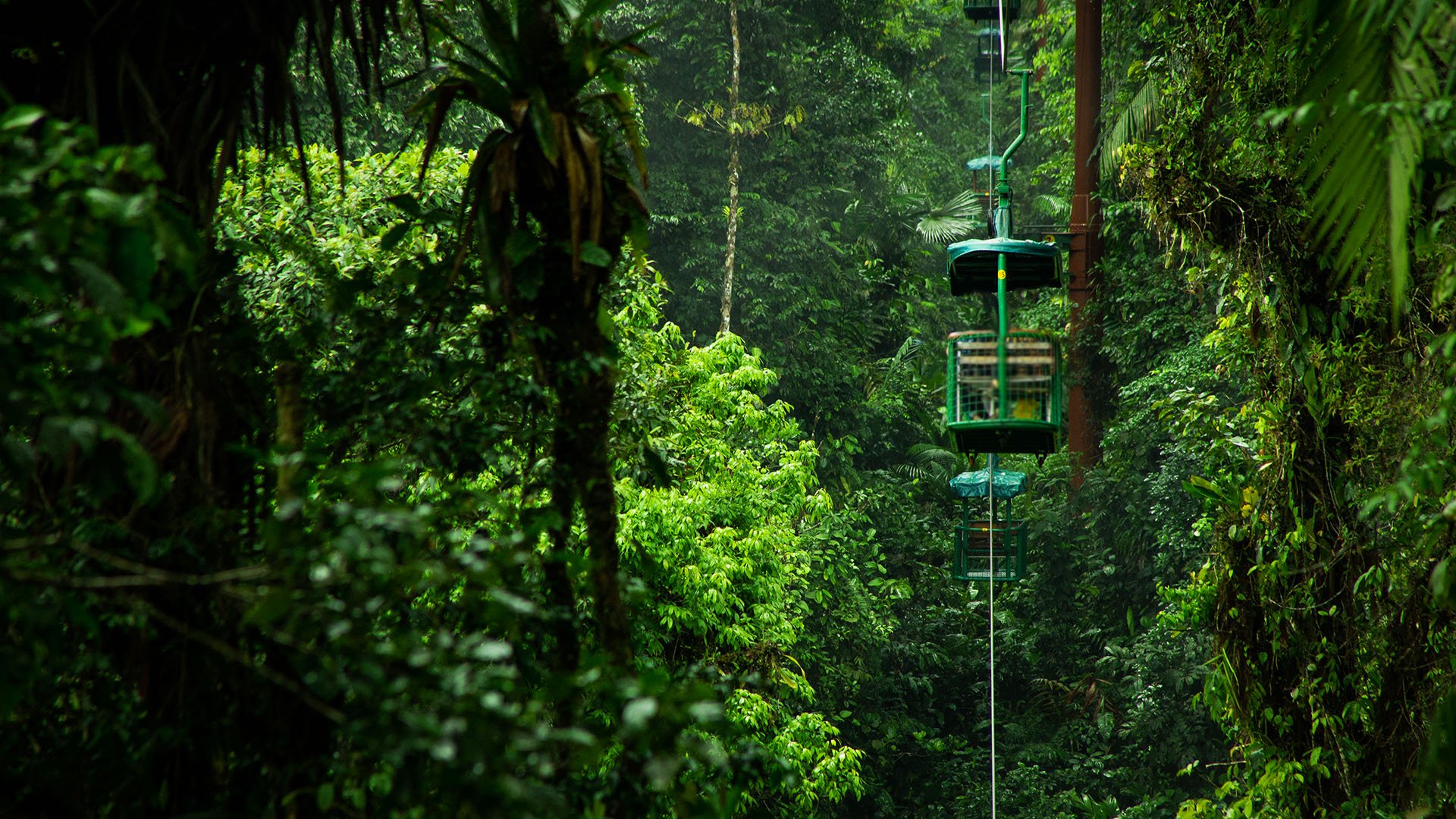 Braulio Carrillo Nationalpark per Seilbahn 
