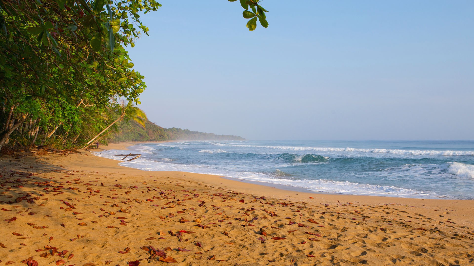 Puerto Viejo: Strand und Shopping