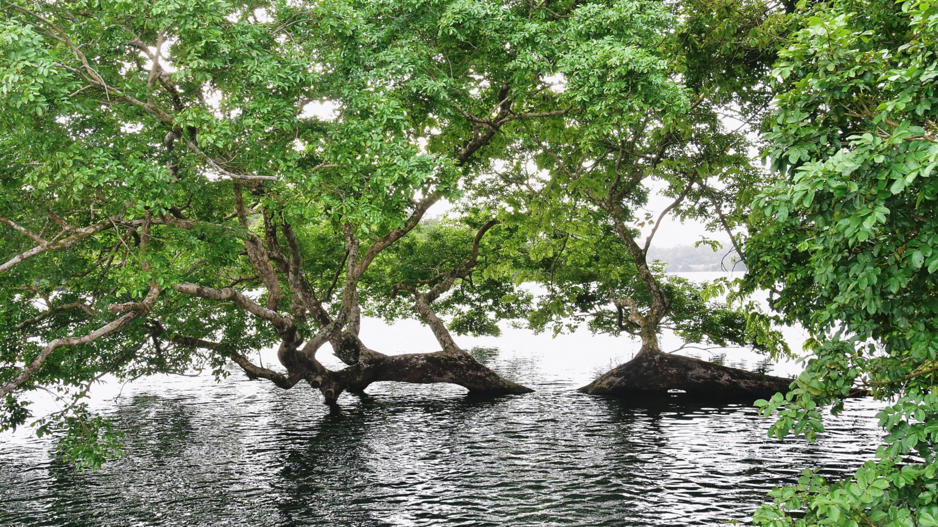 Panamas Natur und Kultur erleben