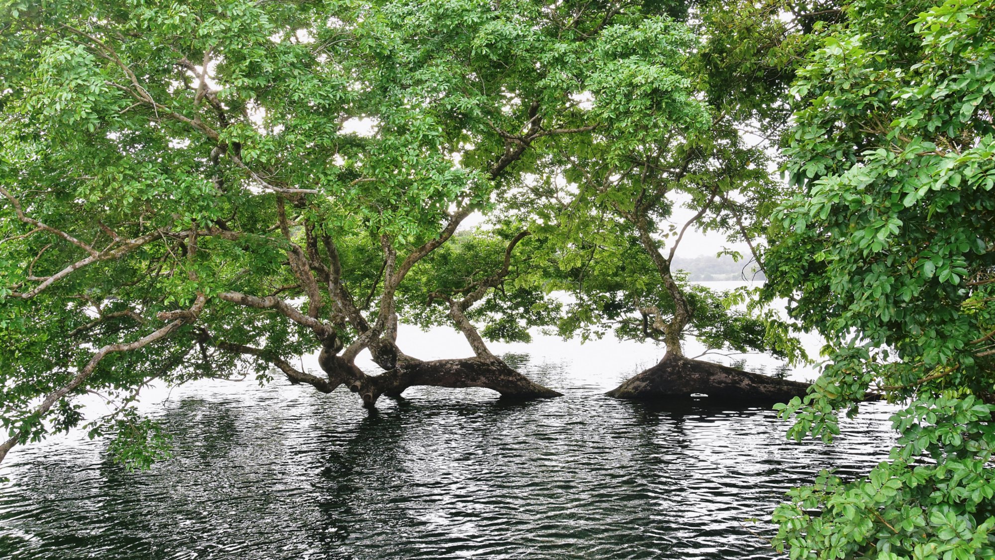 Panamas Natur und Kultur erleben